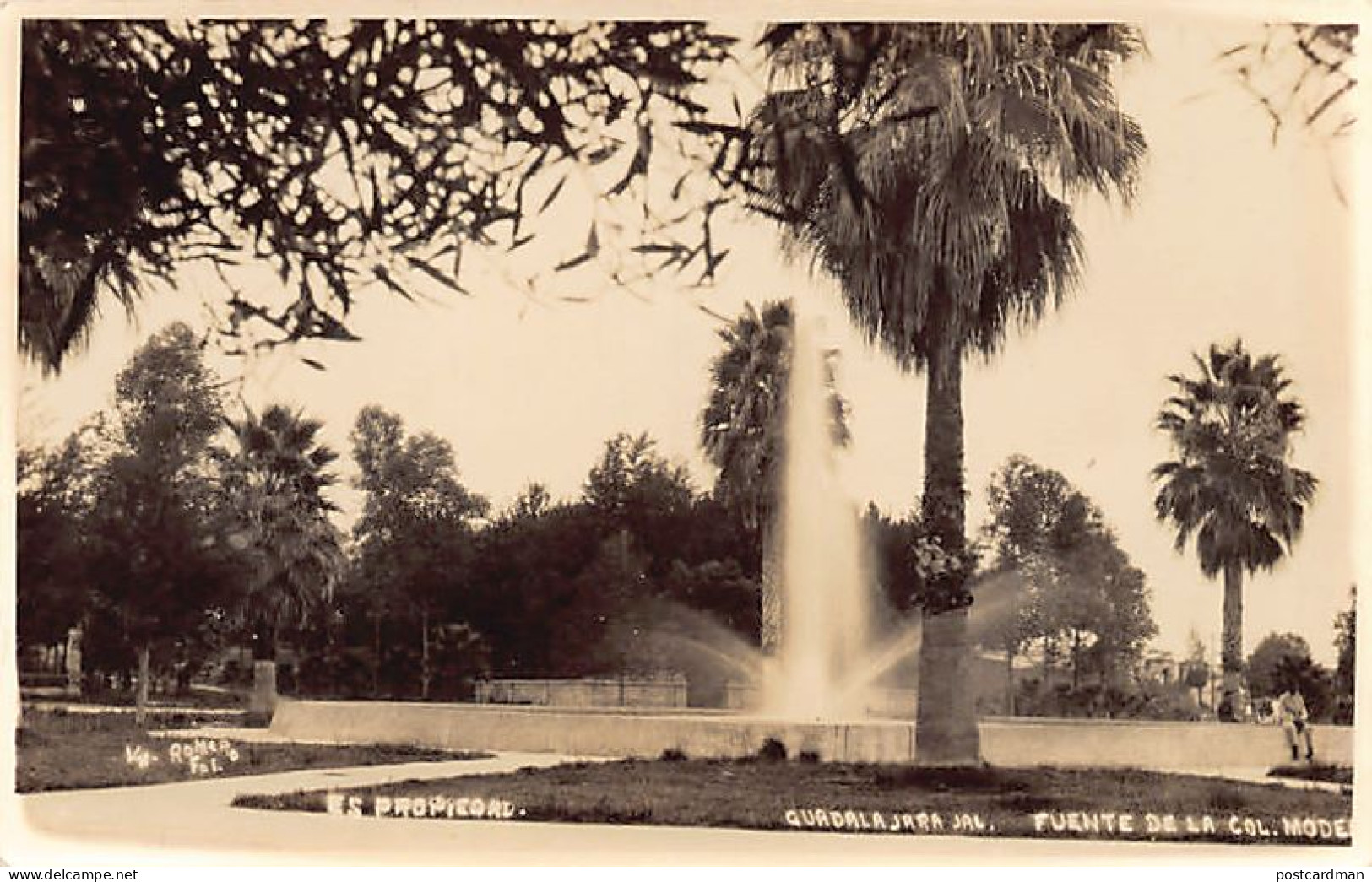 México - GUADALAJARA - Fuente De La Colonial Modelo - POSTAL FOTO Ed. Romero - México