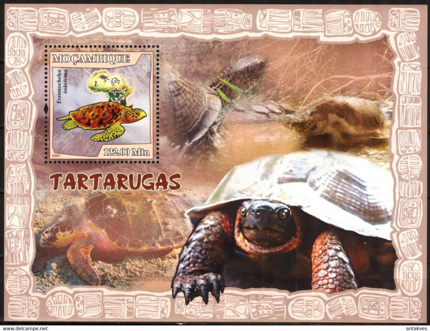 Mozambique 2007 Turtles S/S MNH - Mosambik