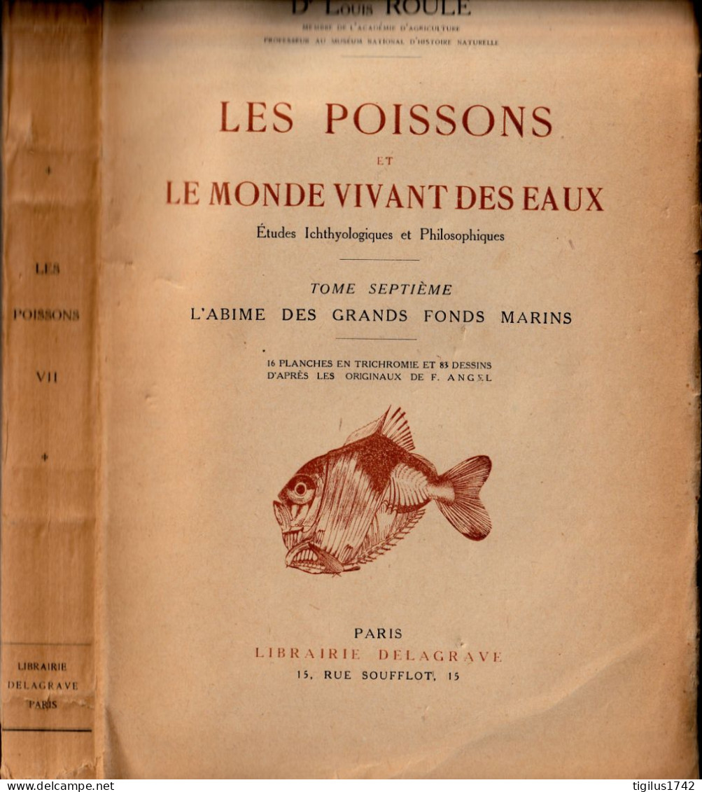 Louis Roule. Les Poissons Et Le Monde Vivant Des Eaux. Tome VII. L’abîme Des Grands Fonds Marins. Dalagrave, 1934 - 1901-1940