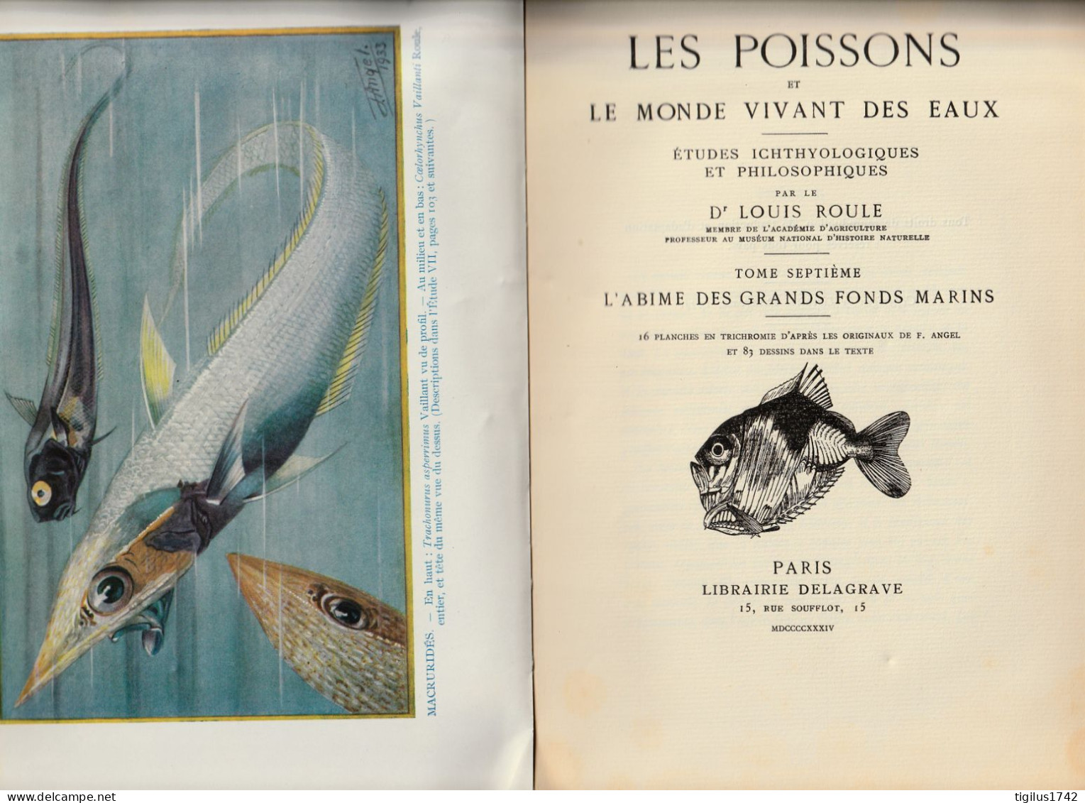 Louis Roule. Les Poissons Et Le Monde Vivant Des Eaux. Tome VII. L’abîme Des Grands Fonds Marins. Dalagrave, 1934 - 1901-1940