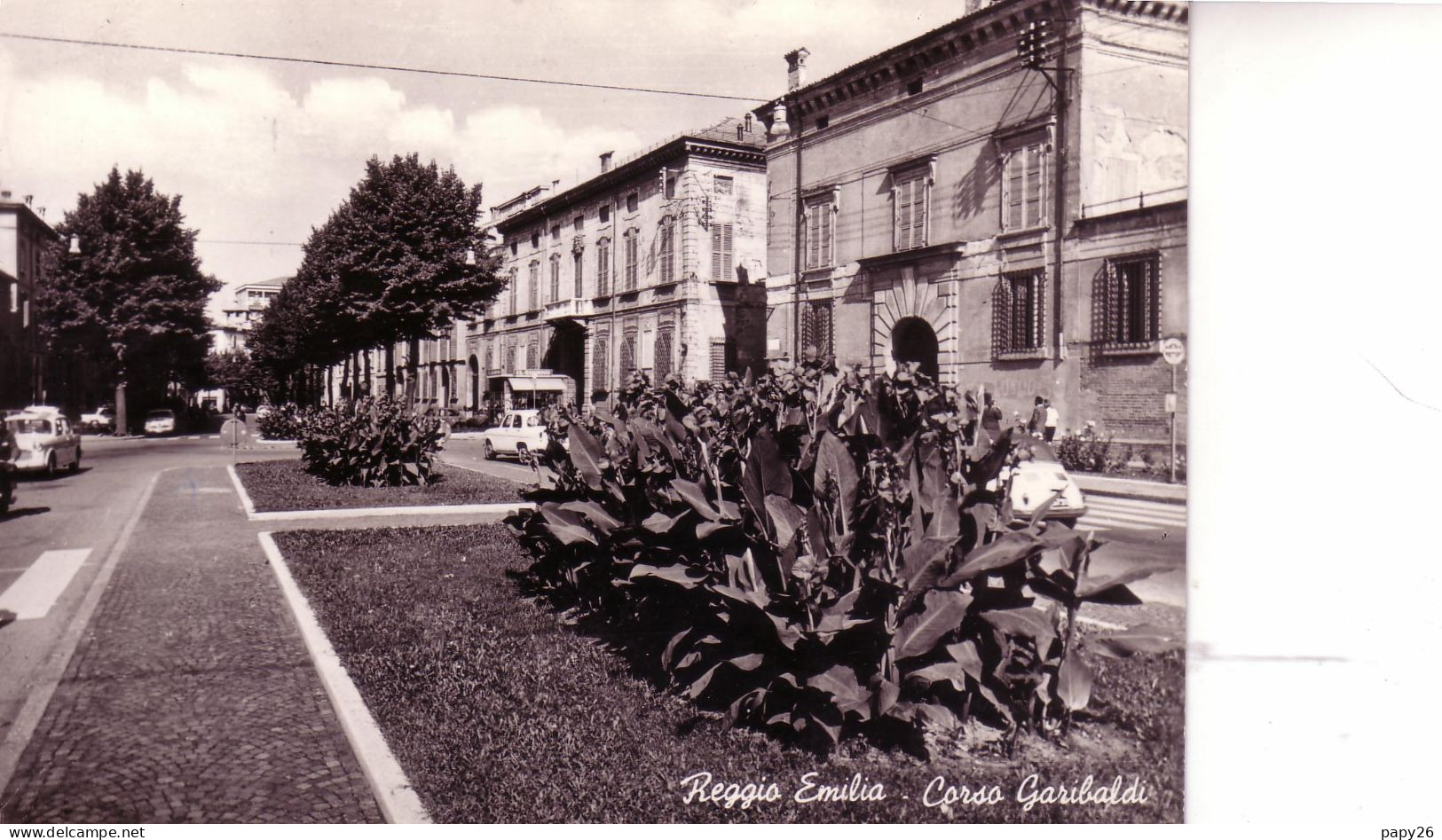Cpsm Reggio Emilia Corso Garibaldi - Reggio Nell'Emilia