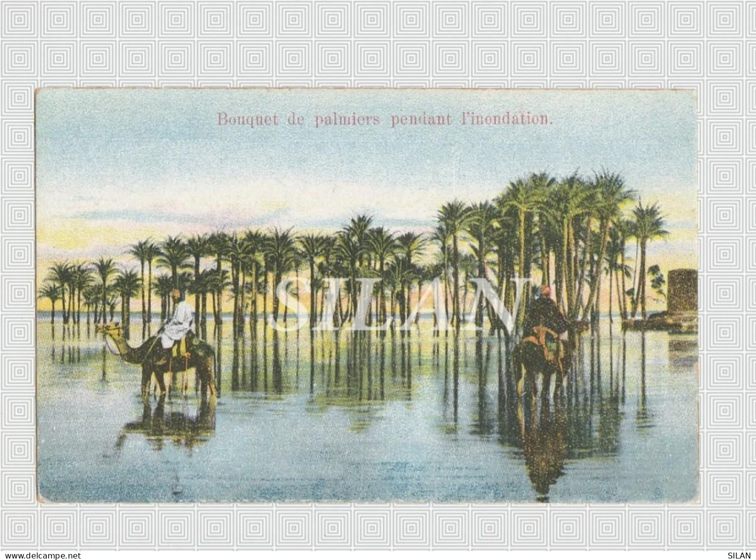 Postal Antigua De Egipto, El Cairo. Pirámides, Desierto, Río Nilo/Ancient Postcard From Egypt, Cairo. Pyramids, Desert, - Le Caire