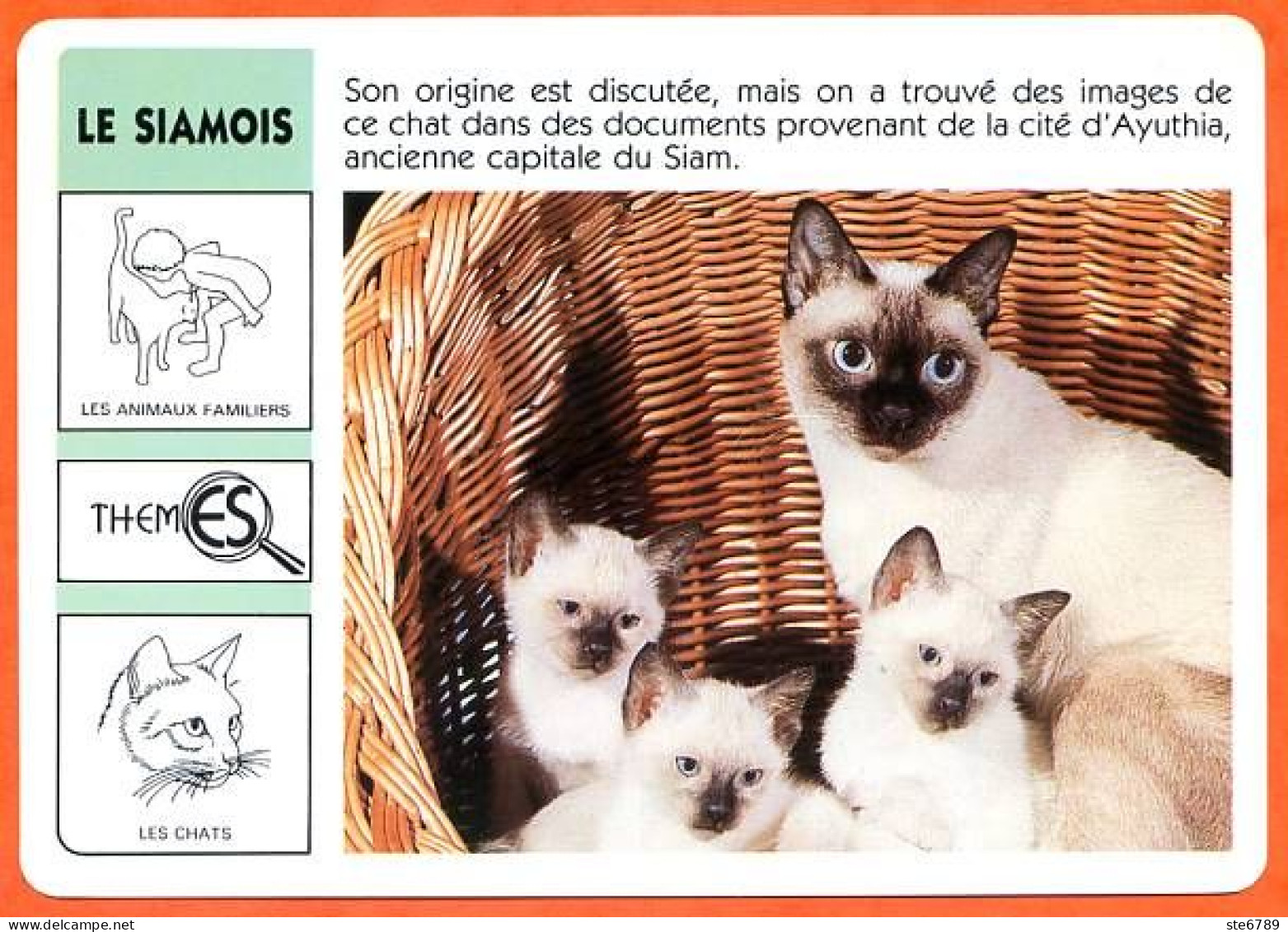 WWF LE SIAMOIS Chat Animaux  Animal Fiche Illustree Documentée - Dieren