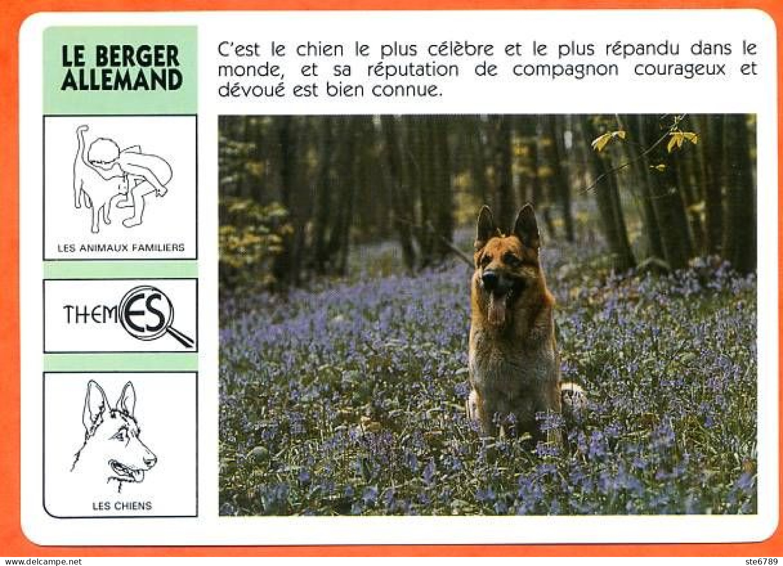 WWF LE BERGER ALLEMAND Chien Animaux  Animal Fiche Illustree Documentée - Animaux