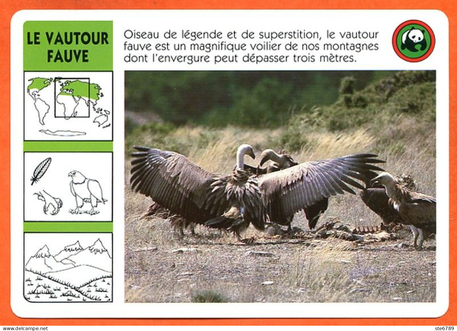 WWF LE VAUTOUR FAUVE   Animaux  Animal Oiseau Fiche Illustree Documentée - Animali