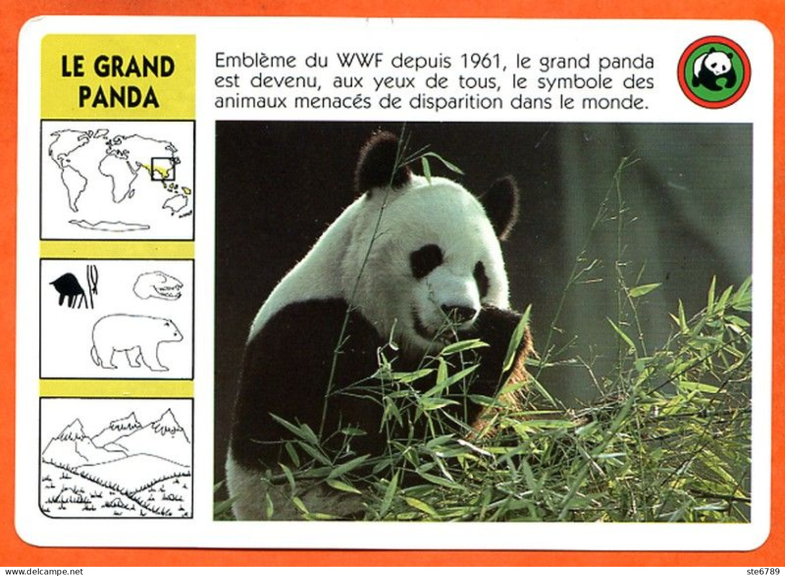 WWF LE GRAND PANDA Animaux  Animal Fiche Illustree Documentée - Animals