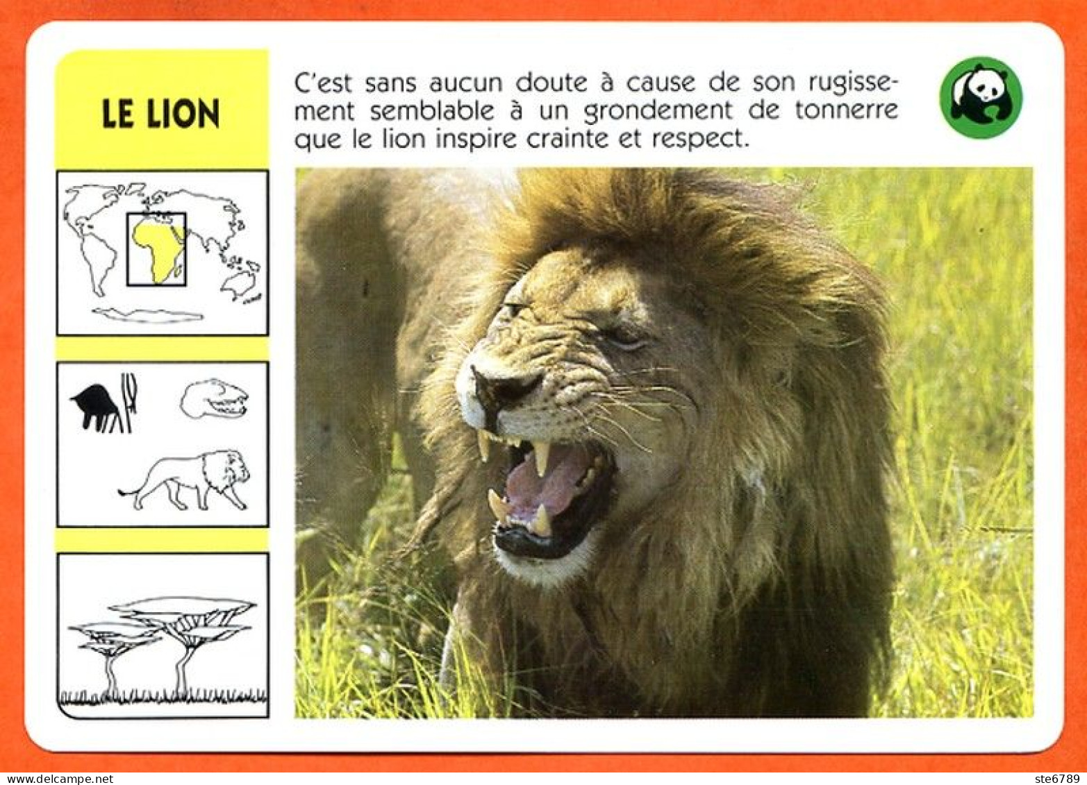 WWF LE LION  Animaux  Animal Fiche Illustree Documentée - Animals