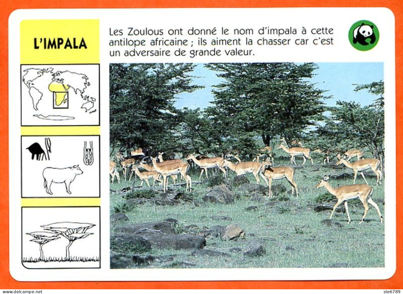 WWF IMPALA  Animaux  Animal Fiche Illustree Documentée - Animaux