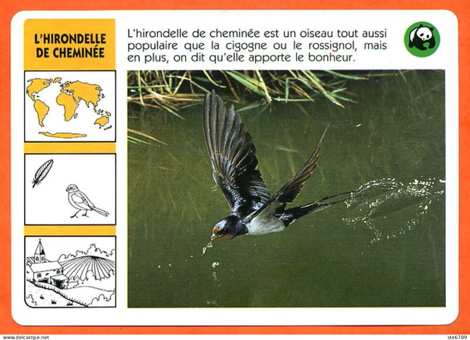 WWF HIRONDELLE DE CHEMINEE  Animaux  Animal Oiseau Fiche Illustree Documentée - Animals