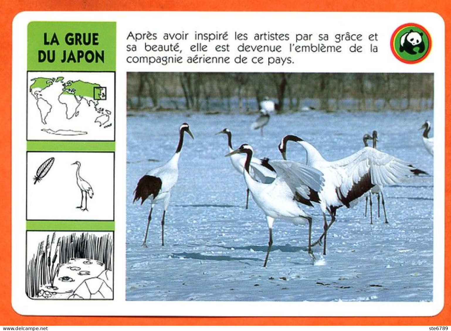 WWF LA GRUE DU JAPON Animaux  Animal Oiseau Fiche Illustree Documentée - Dieren