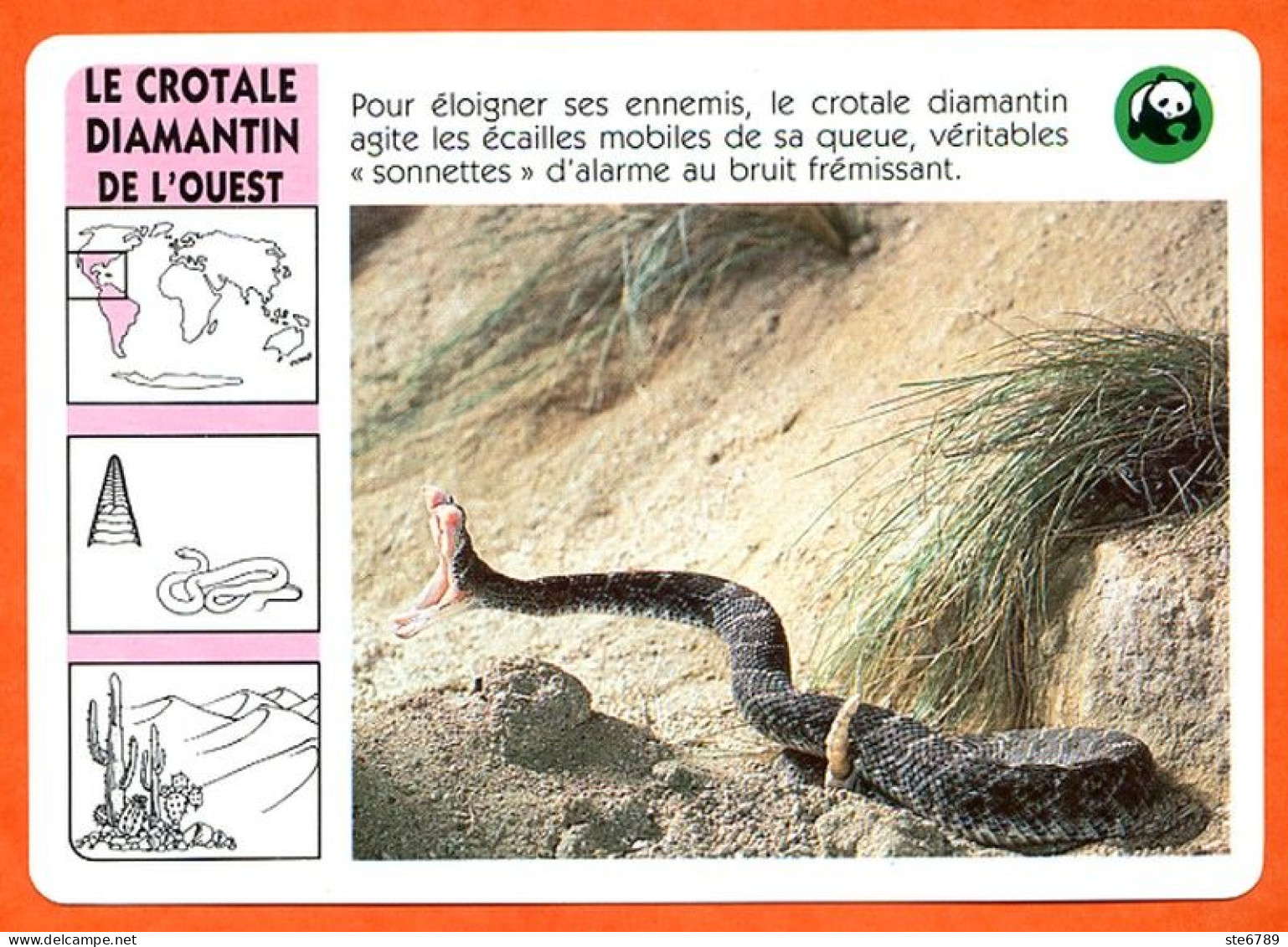 WWF LE CROTALE DIAMANTIN Animaux  Animal Serpent Fiche Illustree Documentée - Tiere