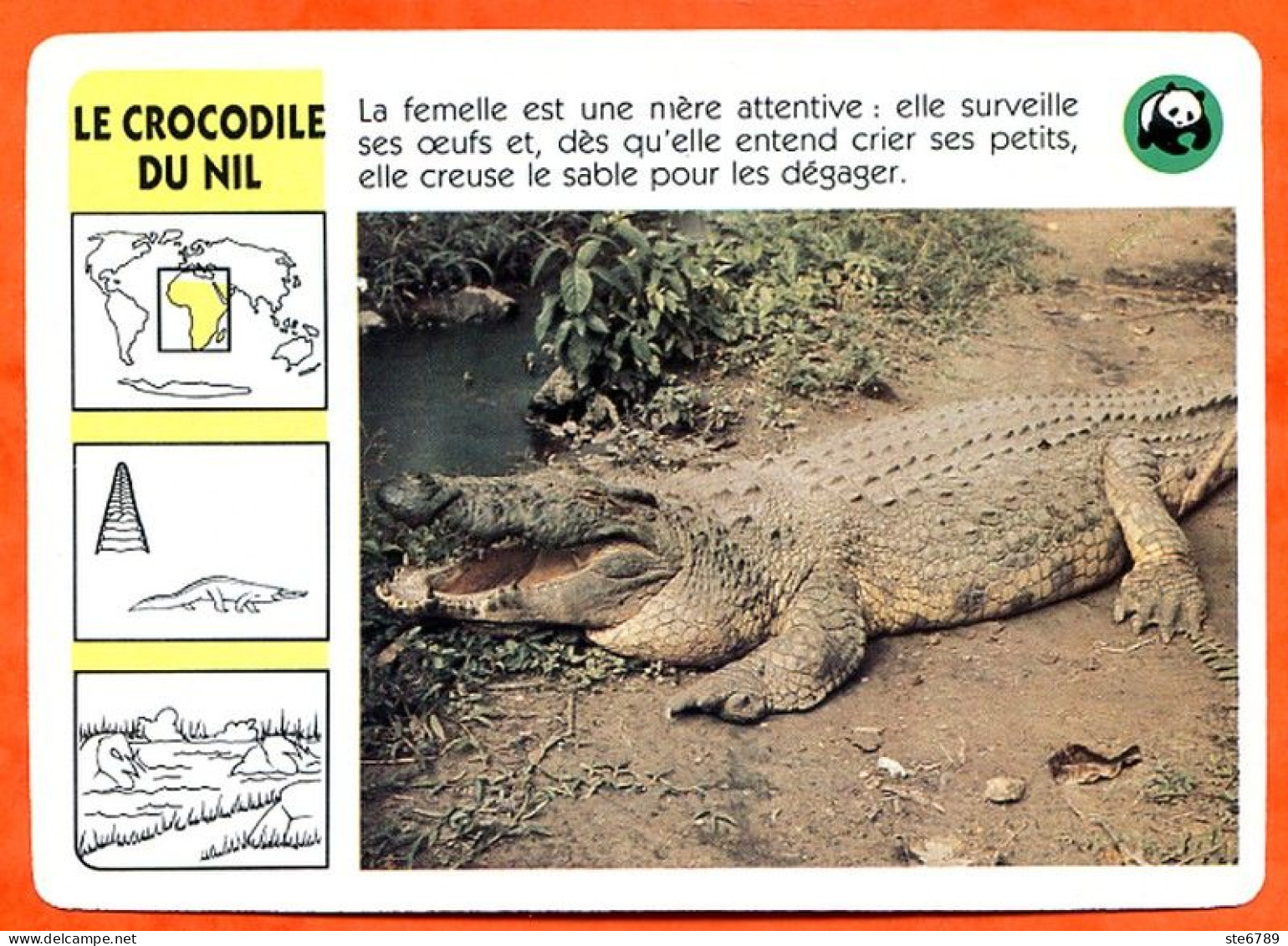 WWF LE CROCODILE DU NIL  Animaux Animal Fiche Illustree Documentée - Dieren