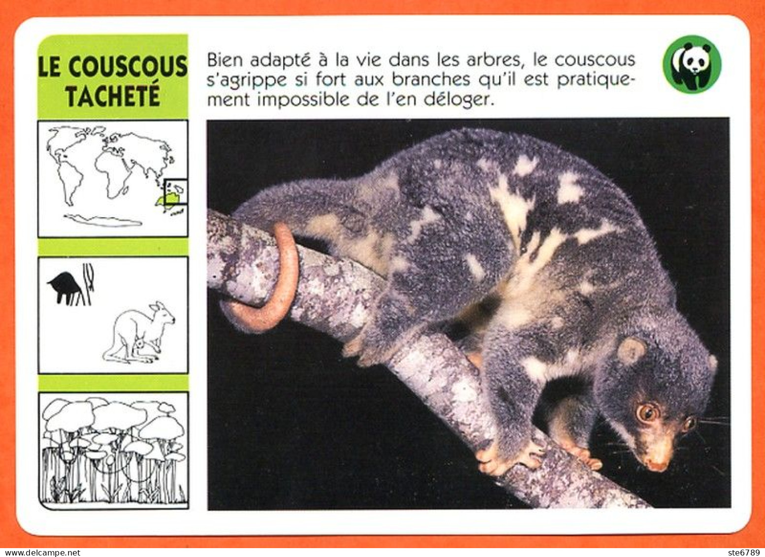 WWF LE COUSCOUS TACHETE  Animaux  Animal Fiche Illustree Documentée - Tiere