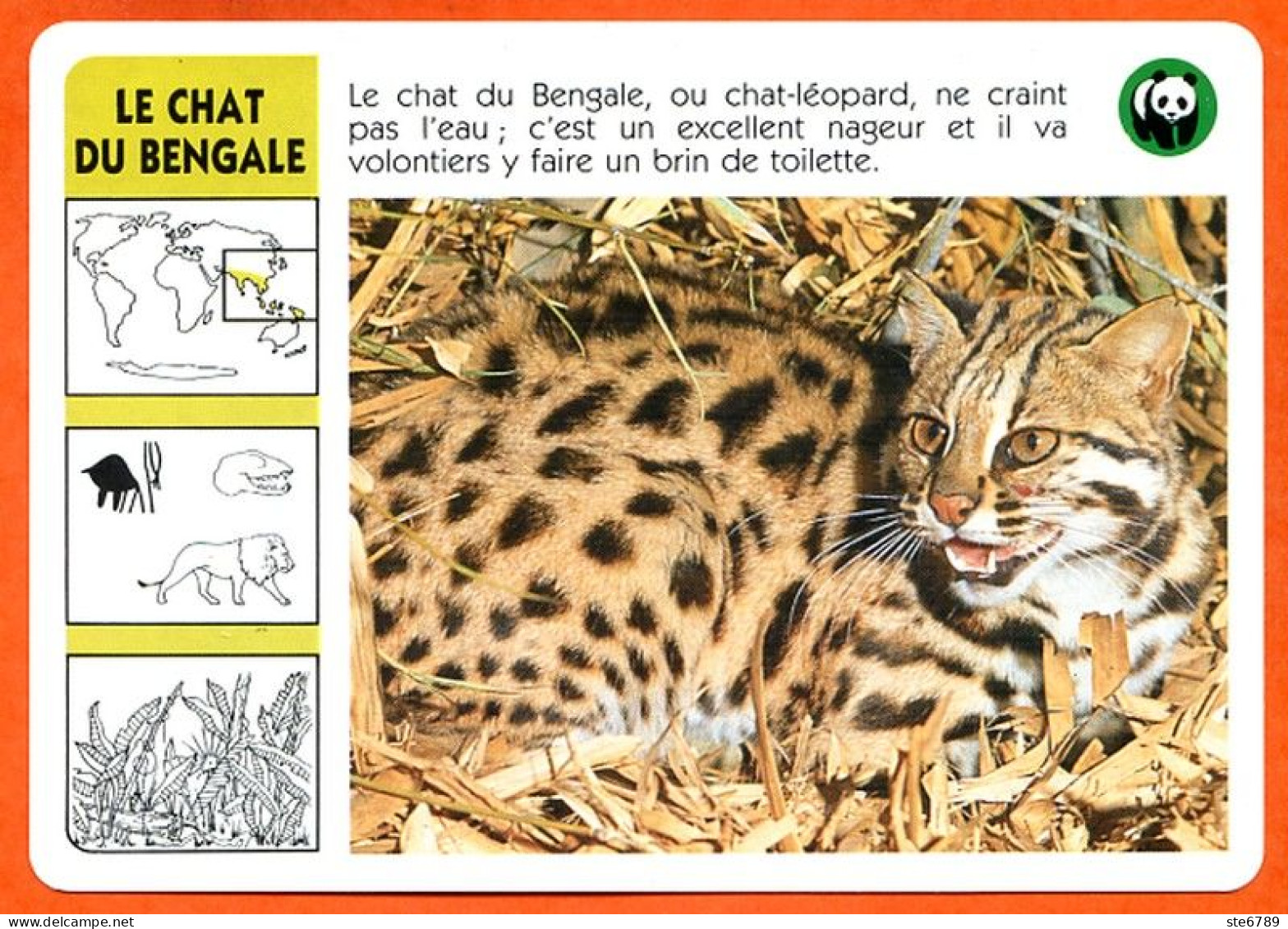 WWF LE CHAT DU BENGALE  Animaux  Animal Fiche Illustree Documentée - Dieren