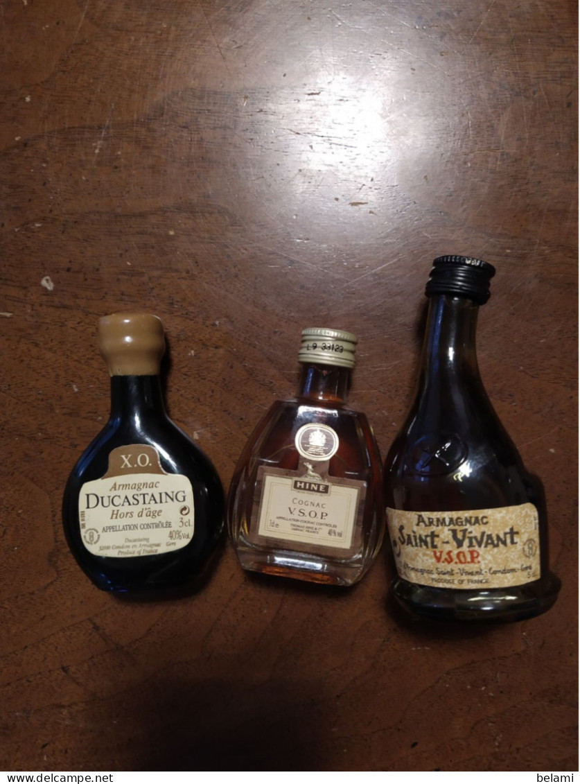 Lot De 10  ** Mignonettes Armagnac  ** SAINT VIVANT  DUCASTING  SAINT VIVANT  HENNESSY 2 OTARD  HINE MARTELL COURVOISIER - Miniatures