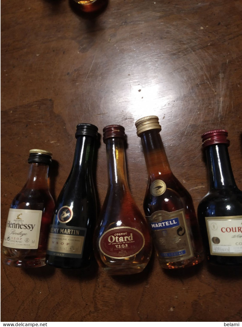 Lot De 10  ** Mignonettes Armagnac  ** SAINT VIVANT  DUCASTING  SAINT VIVANT  HENNESSY 2 OTARD  HINE MARTELL COURVOISIER - Mignonettes