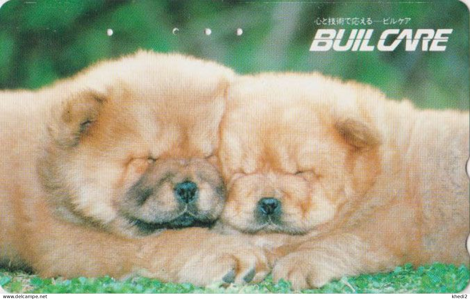Télécarte JAPON / 110-011 - ANIMAL - CHIEN CHOW CHOW - DOG - JAPAN Phonecard - HUND - 1260 - Dogs