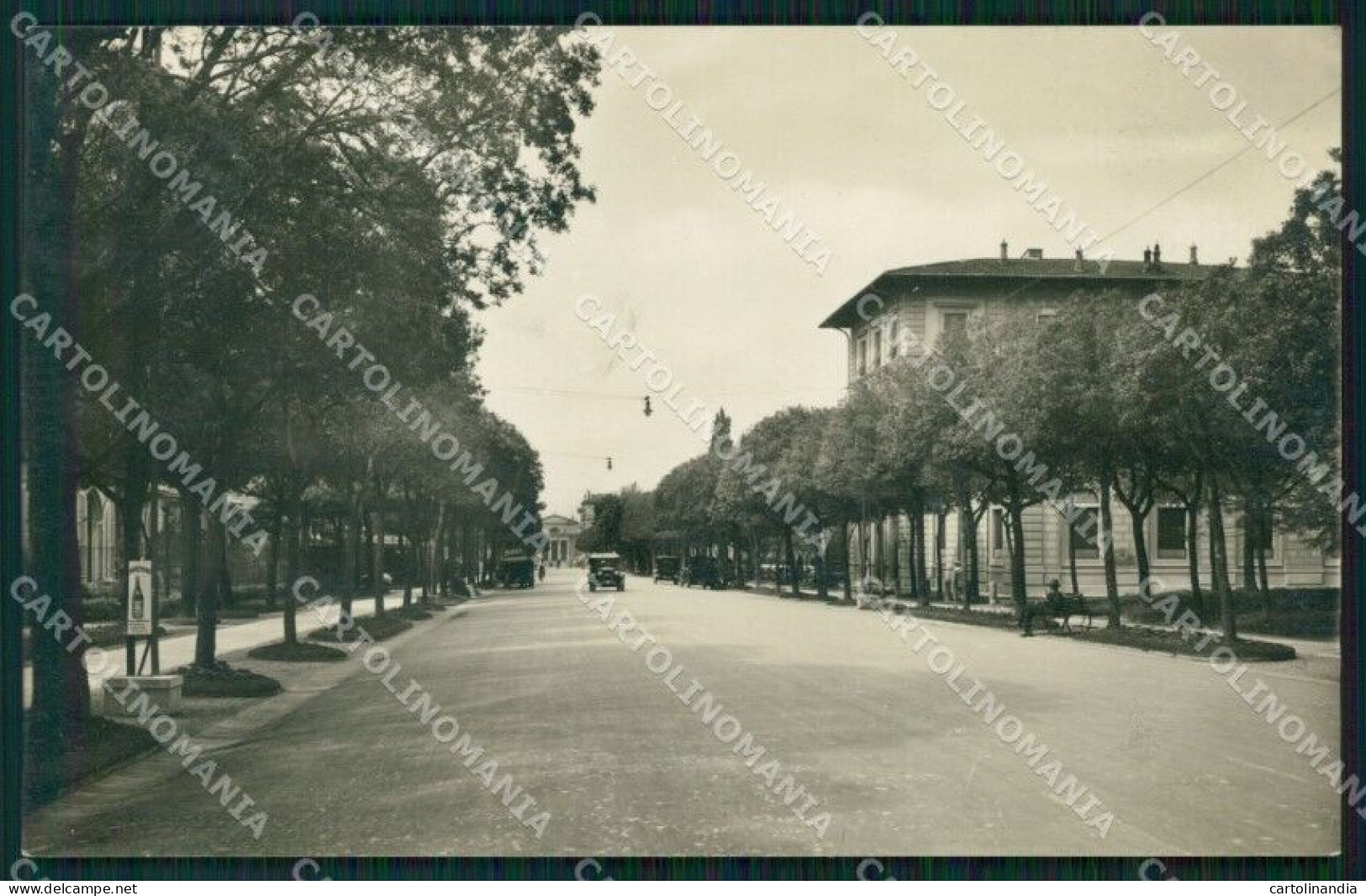 Pistoia Montecatini Viale Verdi Foto Cartolina WX2417 - Pistoia