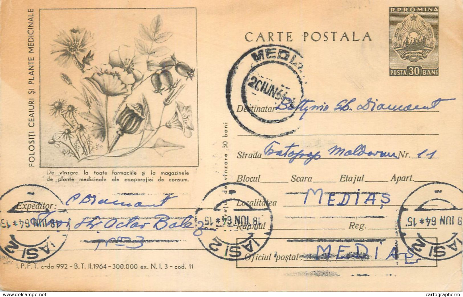 Postal Stationery Postcard Romania Ceaiuri Si Plante Medicinale - Romania