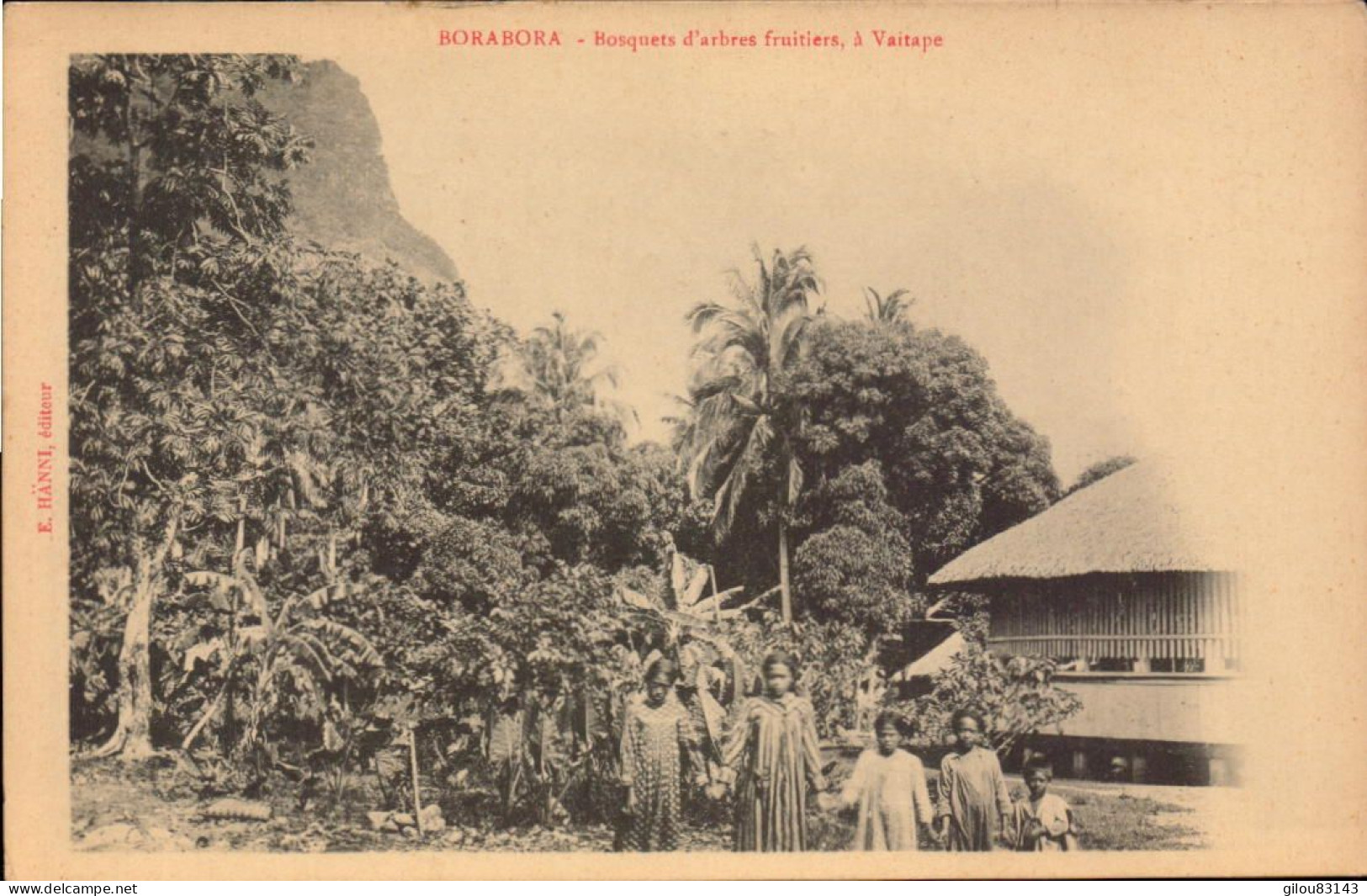 Tahiti, BoraBora, Bosquets D Arbres Fruitiers A Vaitape - Polynésie Française