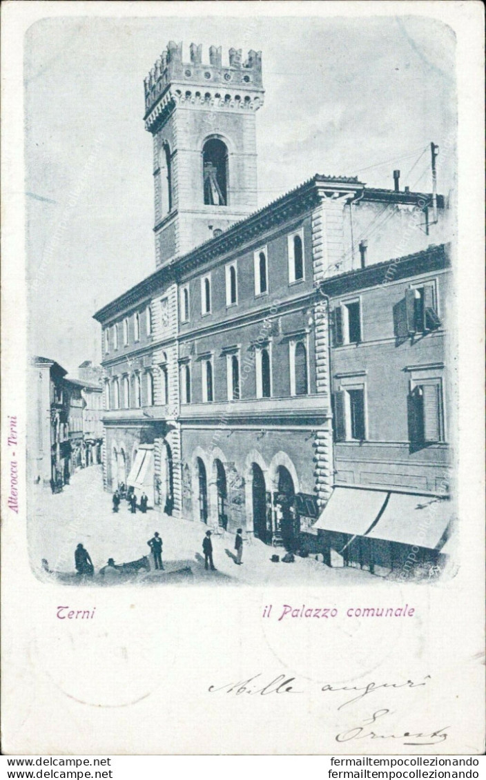 Am70 Cartolina Terni Citta' Il Palazzo Comunale - Terni