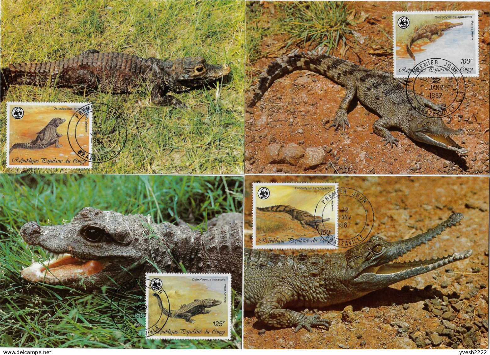 Congo Brazza 1987 Y&T PA 361 à 364 Sur Cartes Maxima. WWF, Faune Protégée, Crocodiles - Altri & Non Classificati