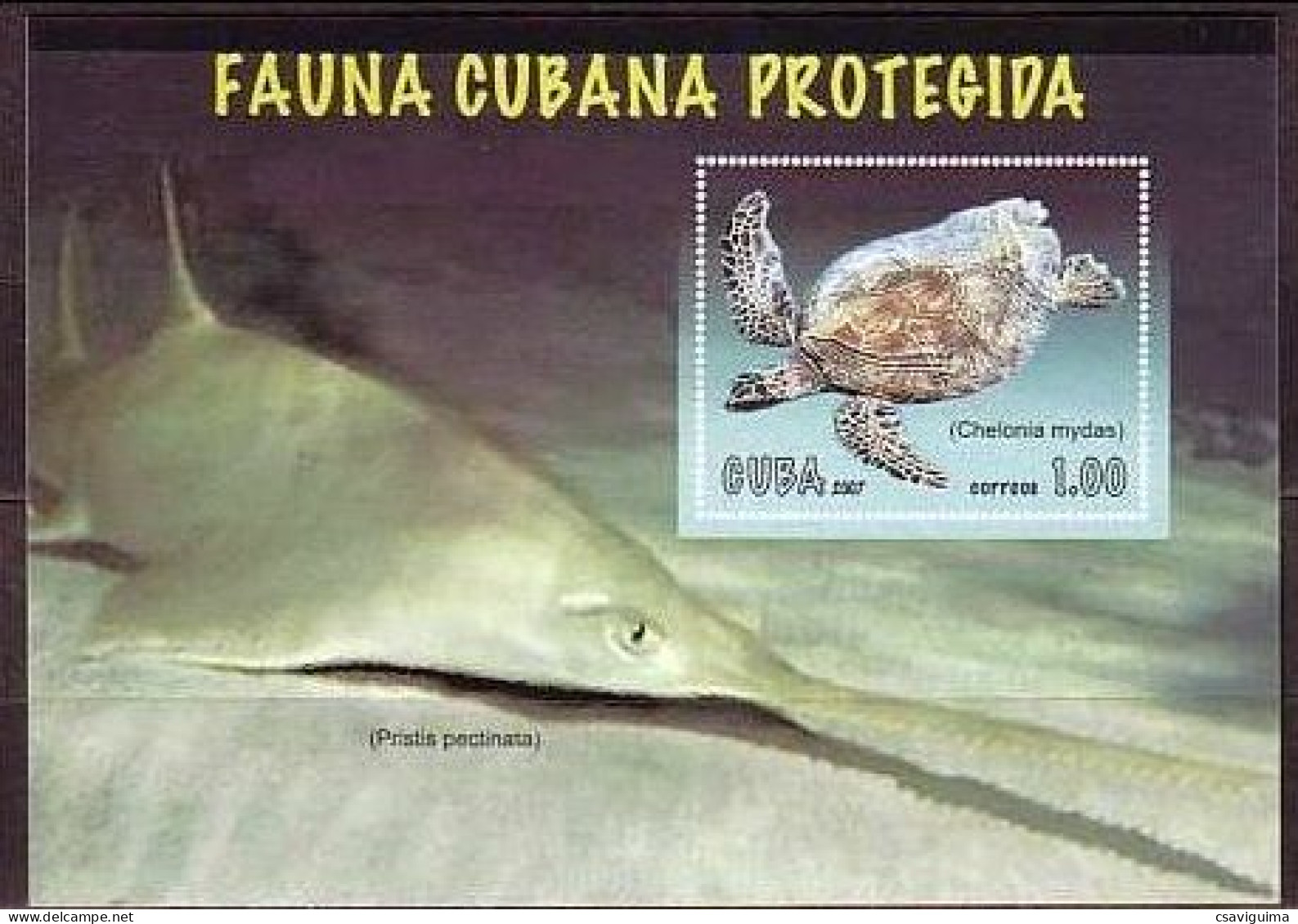Cuba - 2007 - Turtle - Yv Bf 232 - Schildkröten