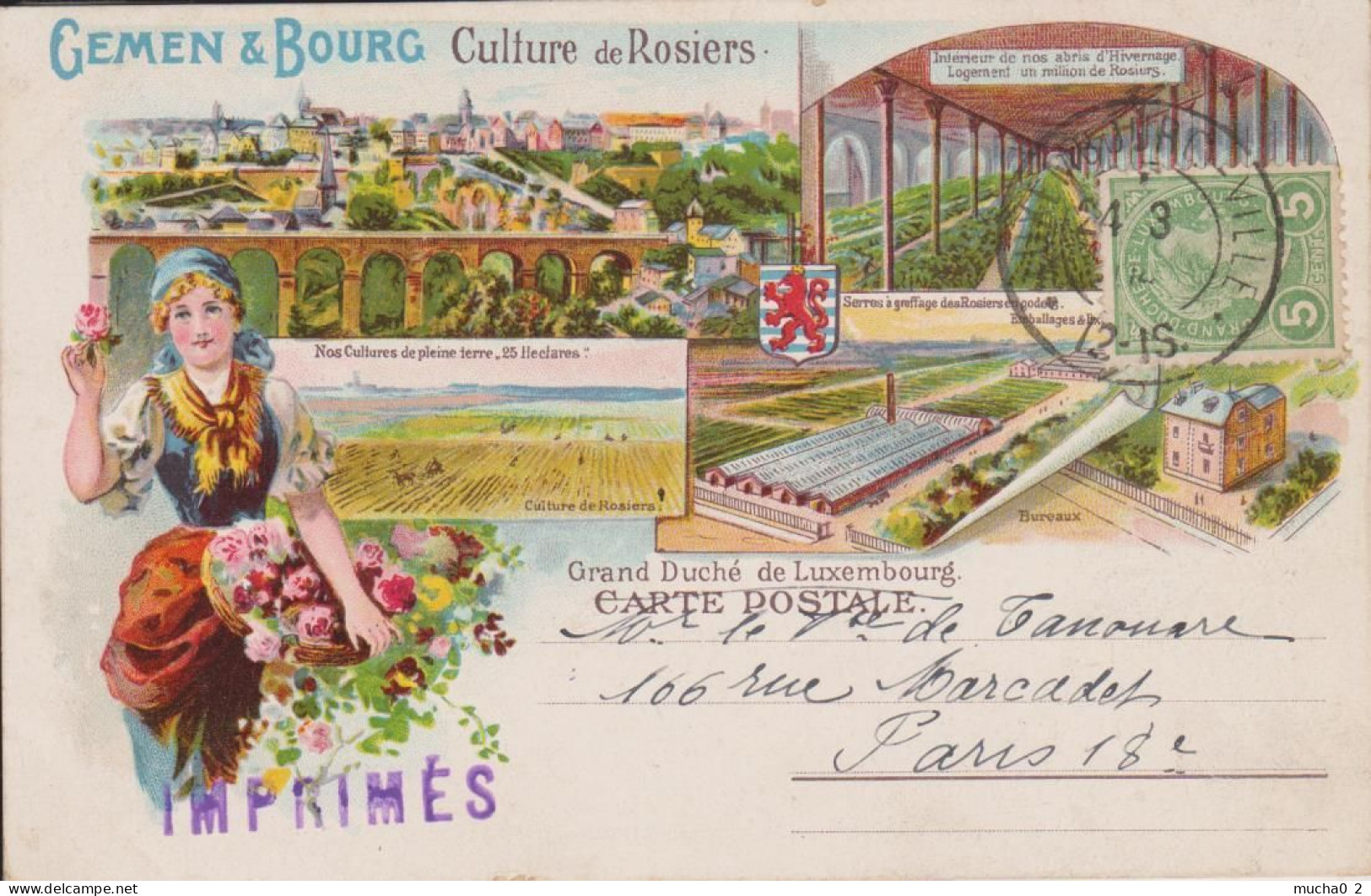 GEMEN ET BOURG - CULTURE DE ROSIERS - CARTE RARE - Luxemburg - Town