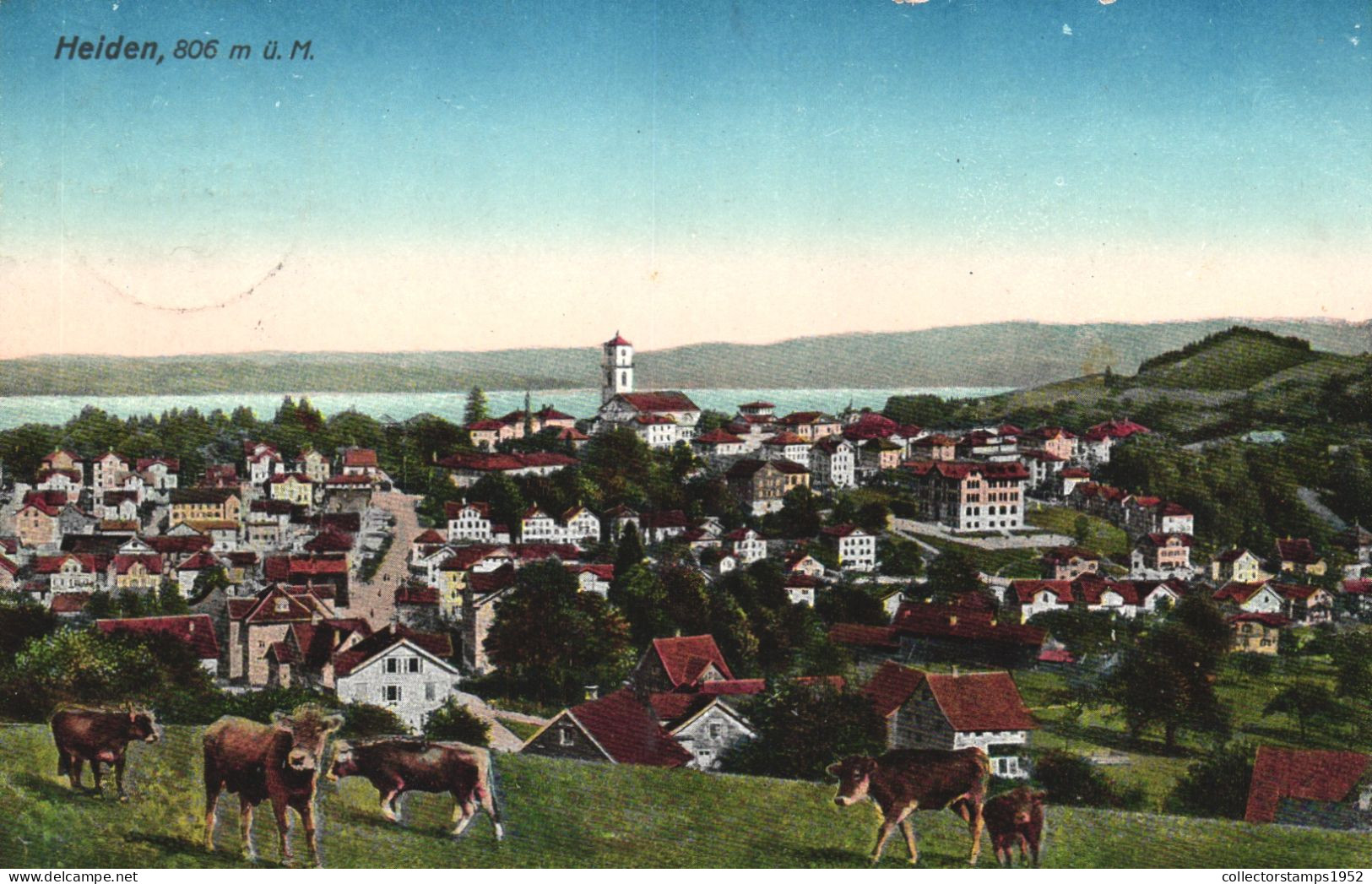 HEIDEN,  APPENZELL OUTER-RHODES, ARCHITECTURE, COWS, SWITZERLAND, POSTCARD - Autres & Non Classés