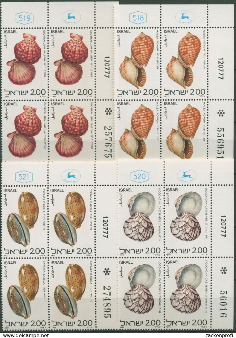 Israel 1977 Tiere Muscheln Schnecken 726/29 Plattenblock Postfrisch (C61718) - Neufs (sans Tabs)