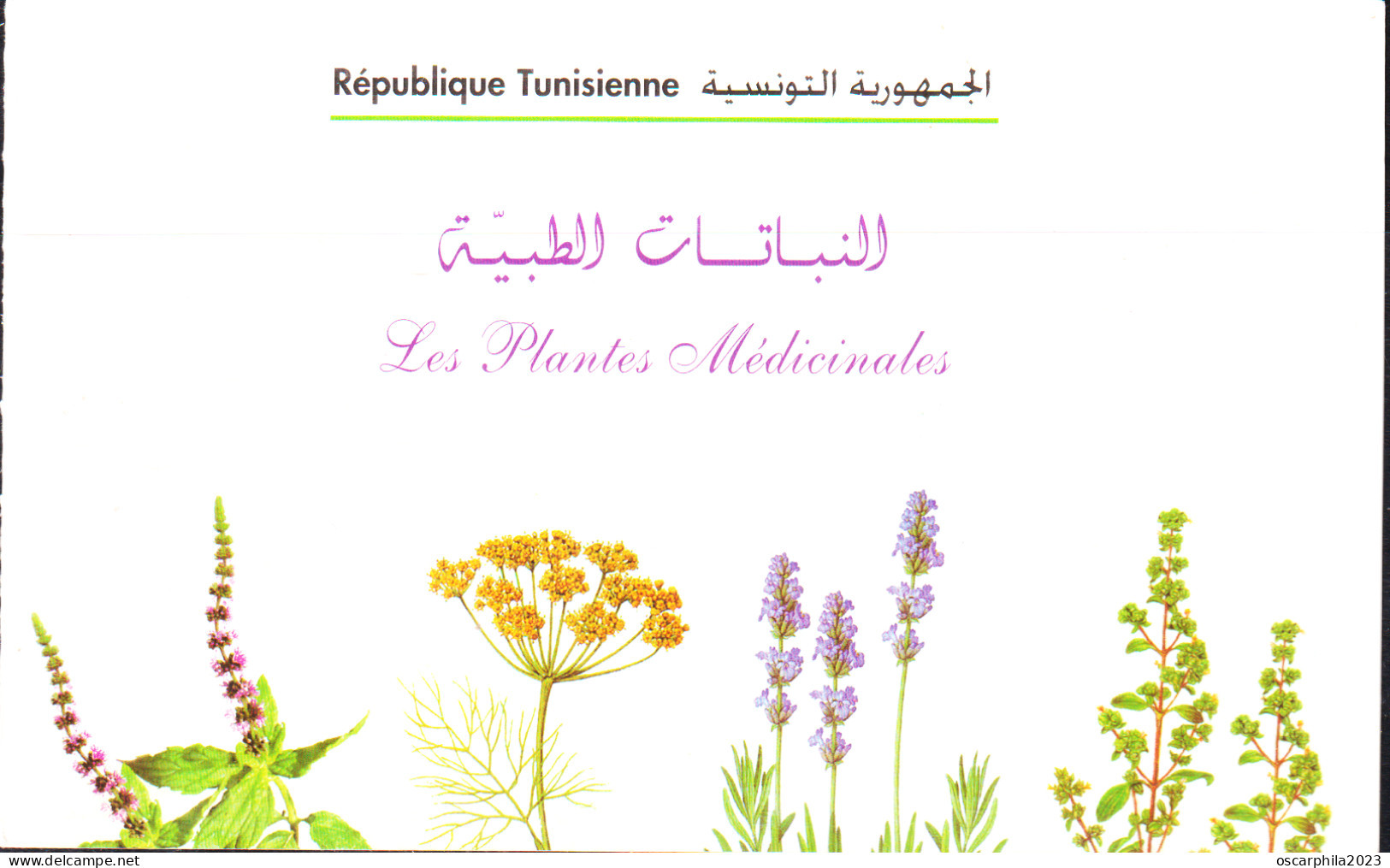 2005-Tunisie / Y&T 1554 - Flore, Plantes Médicinales - Carnet De 8 V --  MNH*** - Tunisia (1956-...)