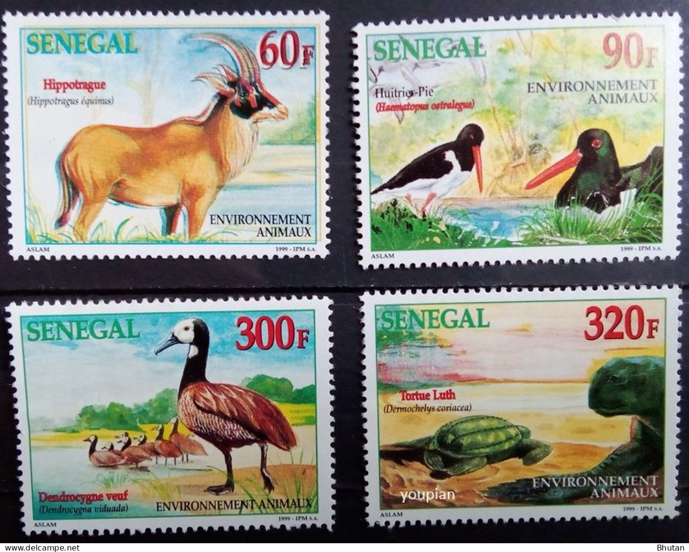 Senegal 1999, Fauna - Animals, MNH Stamps Set - Sénégal (1960-...)