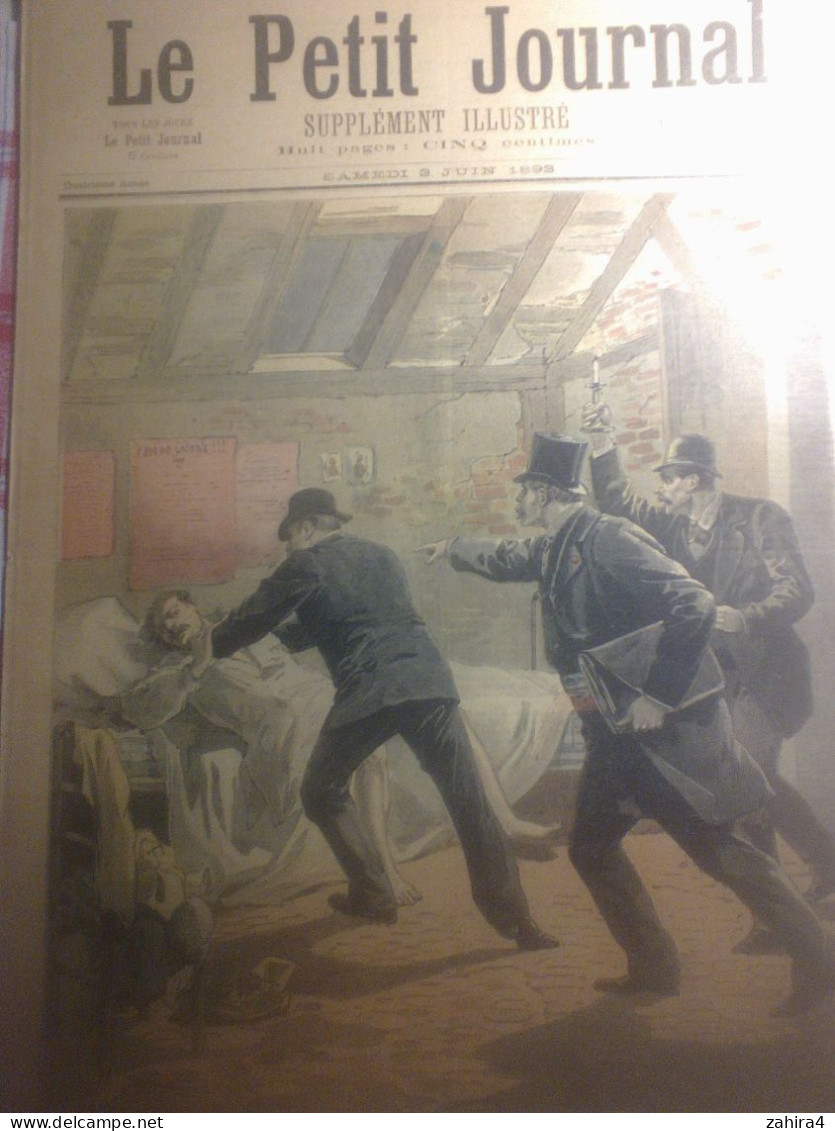 Petit Journal 132 Complot Anarchiste Arestation Rosa Bonheur, Son Atelier De Fould Salon 93 Passer Votre Chemin P Cheret - Magazines - Before 1900