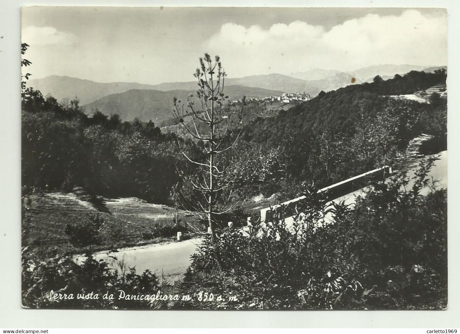 SERRA VISTA DA PANICAGLIORA - VIAGGIATA FG - Grosseto