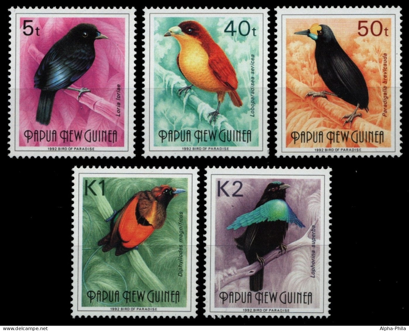 Papua-Neuguinea 1992 - Mi-Nr. 663-667 I ** - MNH - Vögel / Birds - Papouasie-Nouvelle-Guinée