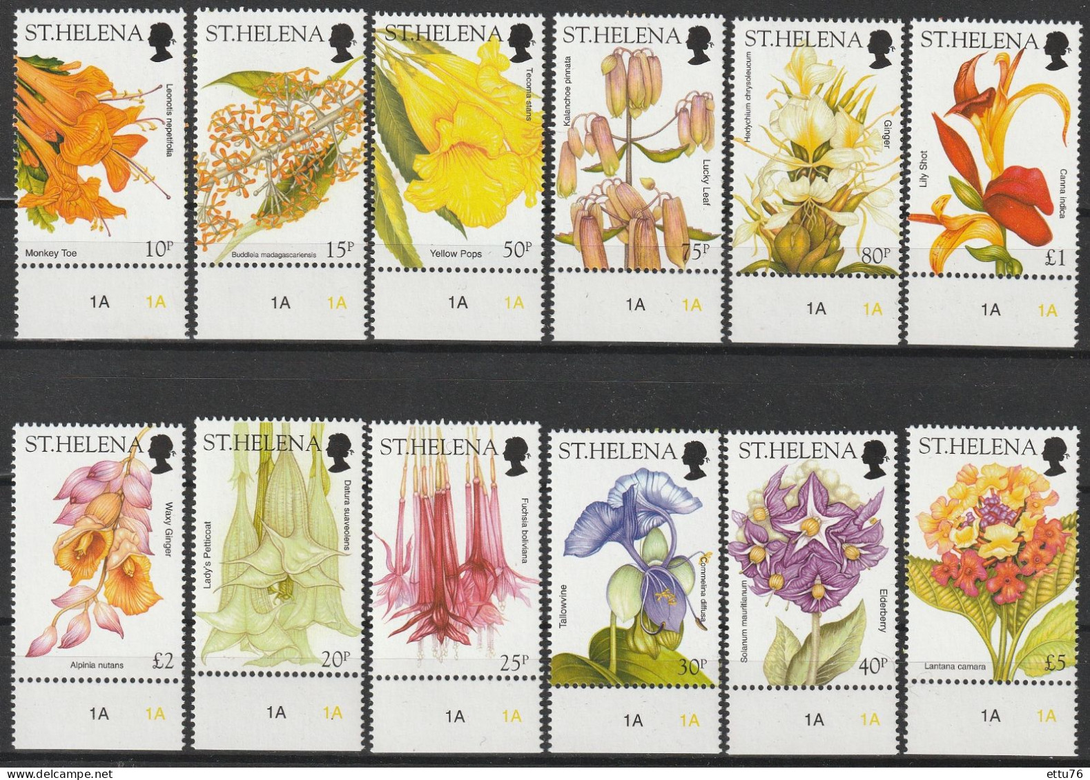 St.Helena  2003  Flowers  Set  MNH - Other & Unclassified