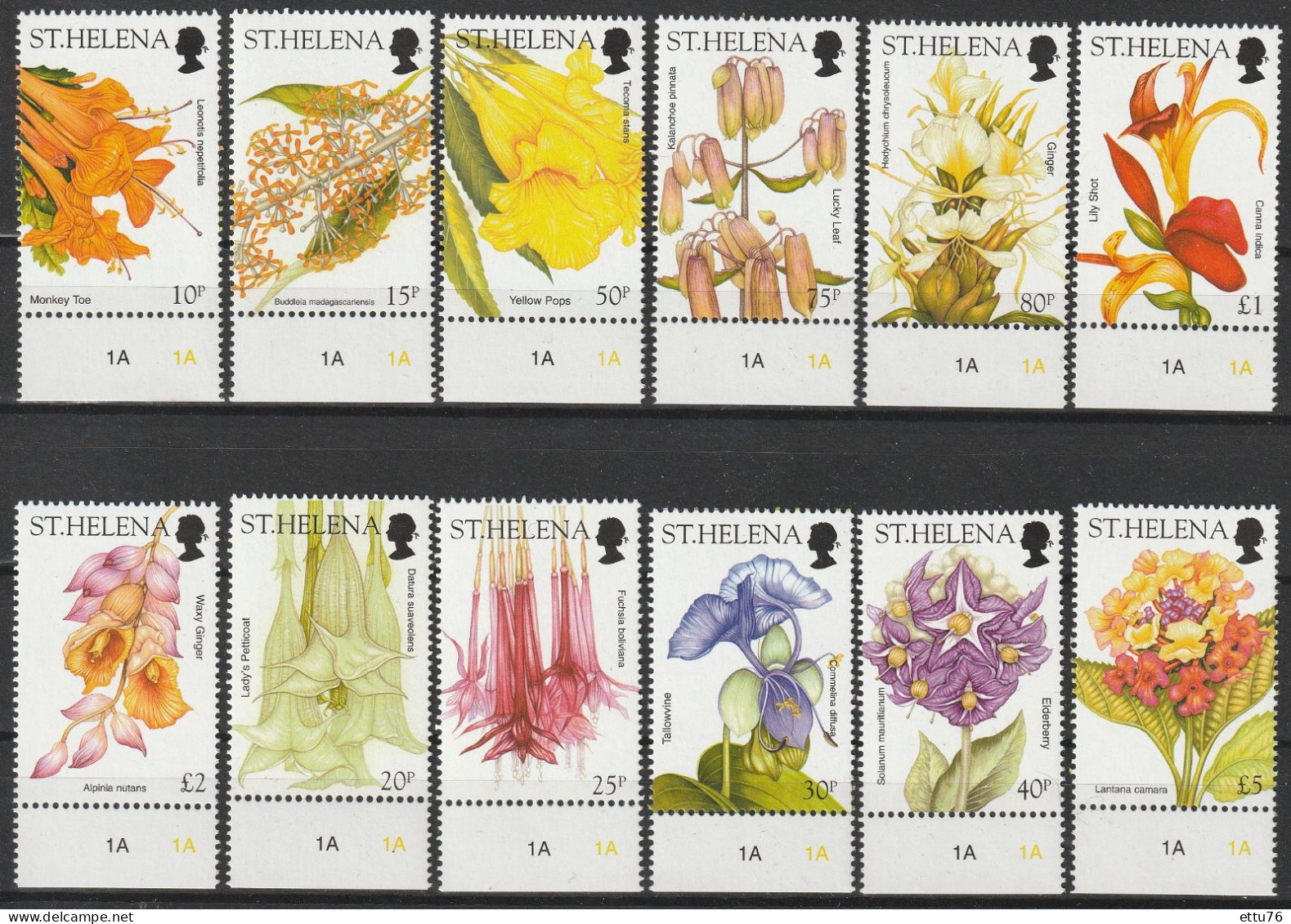 St.Helena  2003  Flowers  Set  MNH - Altri & Non Classificati