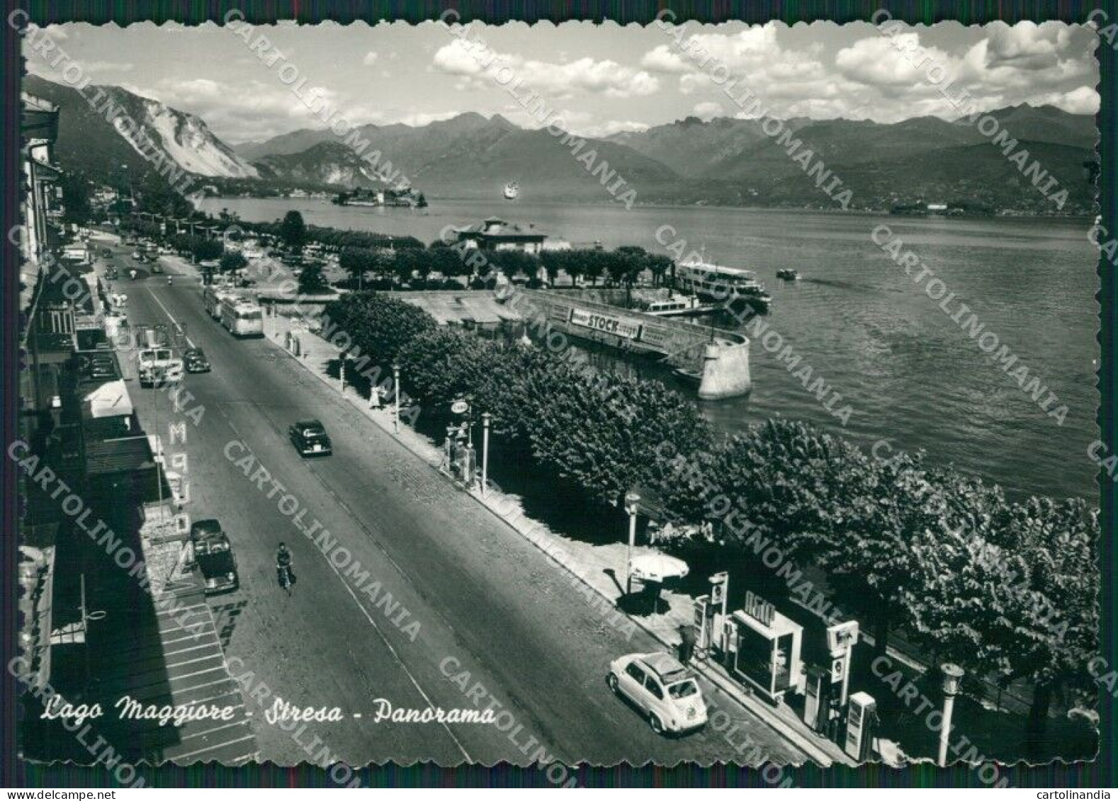 Verbania Stresa Auto Lago Maggiore Foto FG Cartolina KB2424 - Verbania