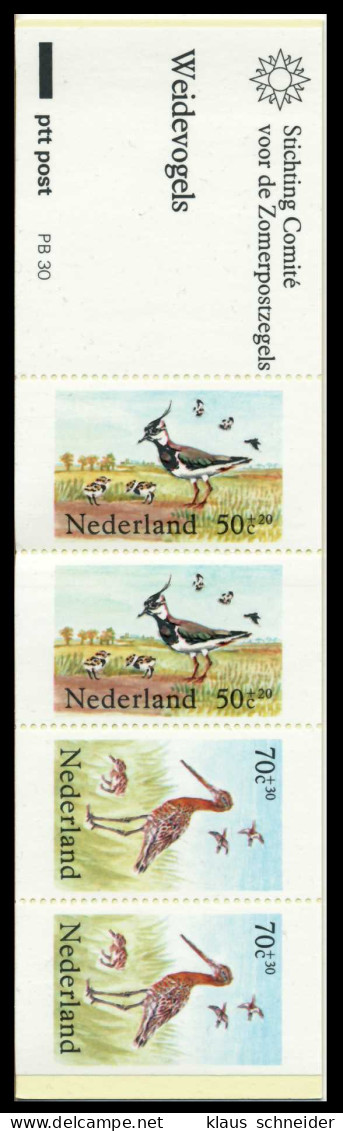 NIEDERLANDE Nr MH 31 Postfrisch S0085CE - Markenheftchen Und Rollen