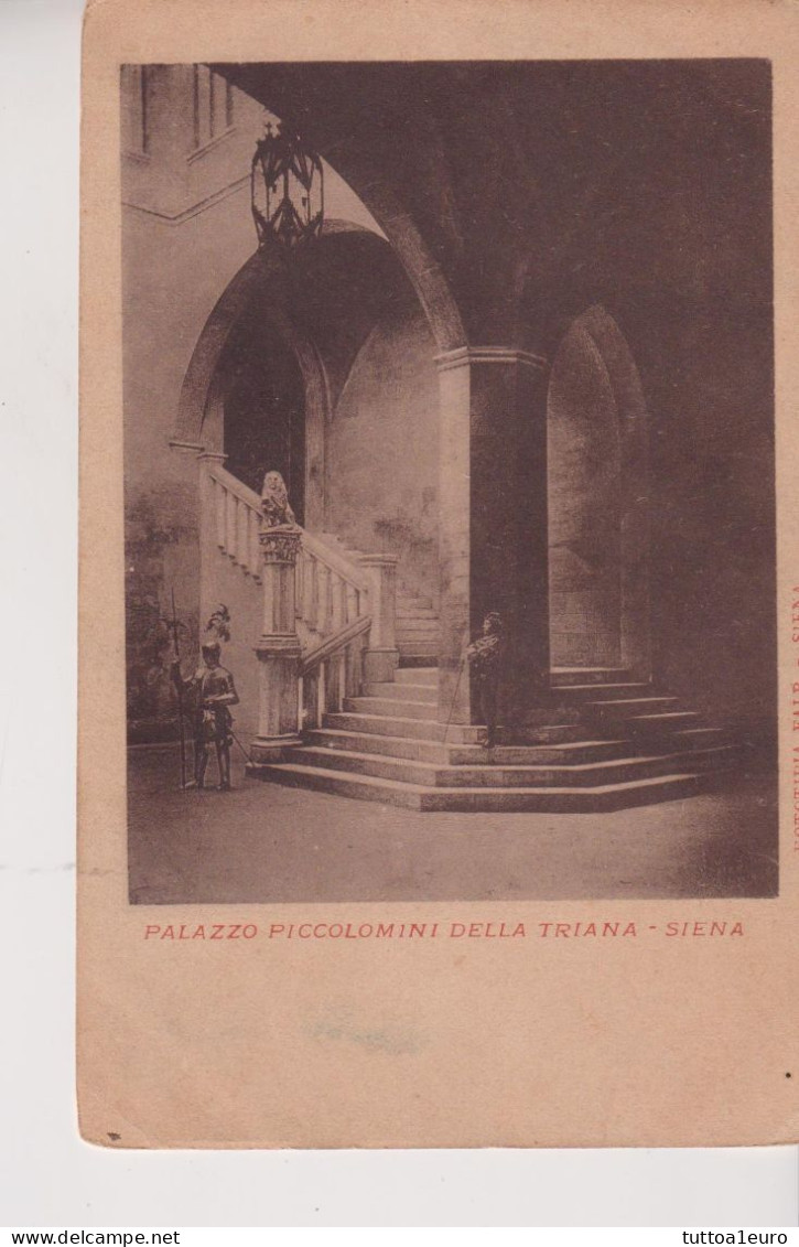 SIENA INTERNO DEL PALAZZO PICCOLOMINI DELLA TRIANA ( GIA’ GROTTANELLI)  NO VG - Siena