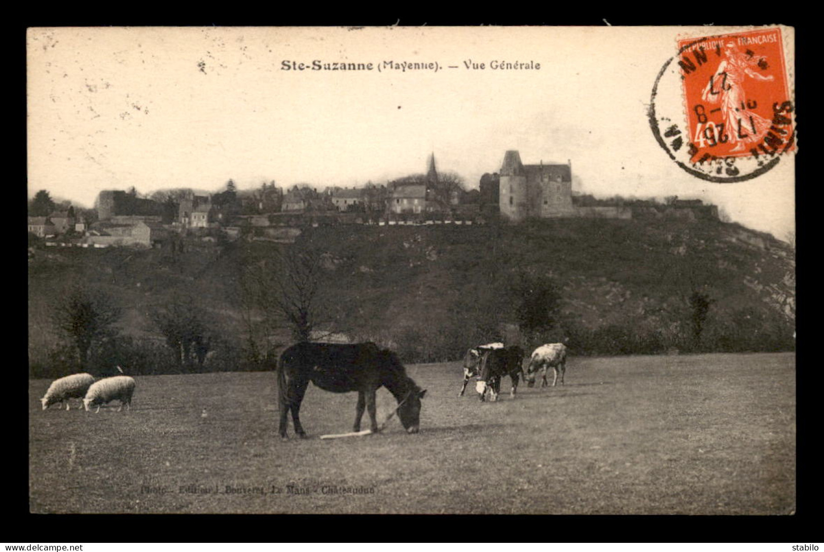 53 - STE-SUZANNE - VUE GENERALE - ANIMAUX AU PATURAGE - Sainte Suzanne