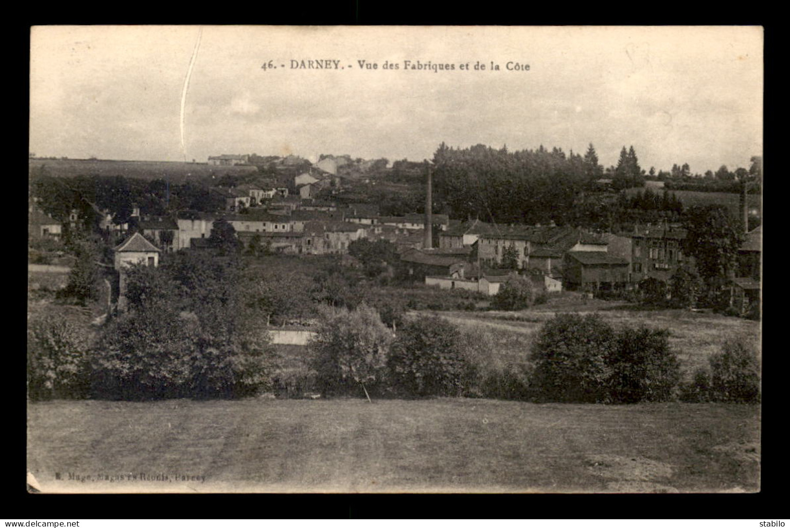 88 - DARNEY - VUE DES FABRIQUES ET DE LA COTE - Darney