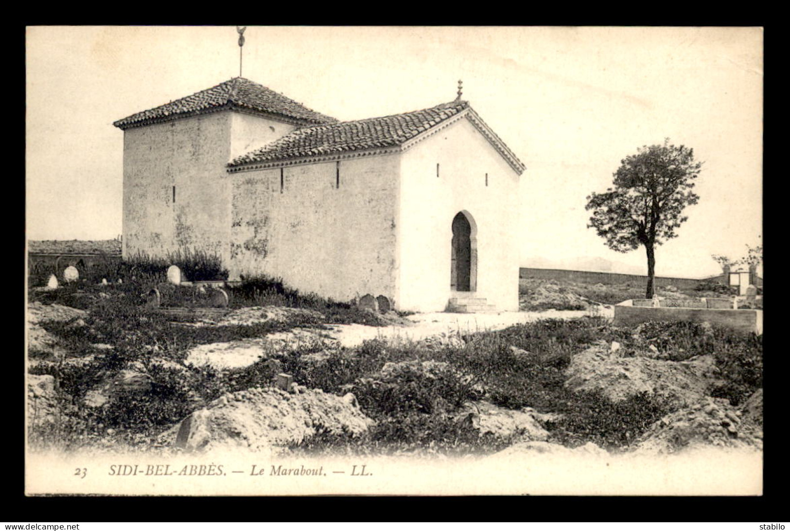 ALGERIE - SIDI-BEL-ABBES - LE MARABOUT - Sidi-bel-Abbès