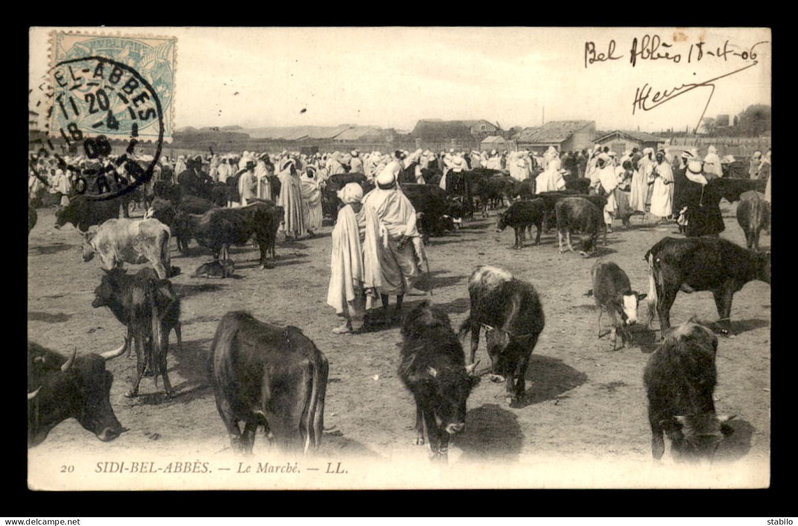 ALGERIE - SIDI-BEL-ABBES - LE MARCHE AUX BESTIAUX - Sidi-bel-Abbès