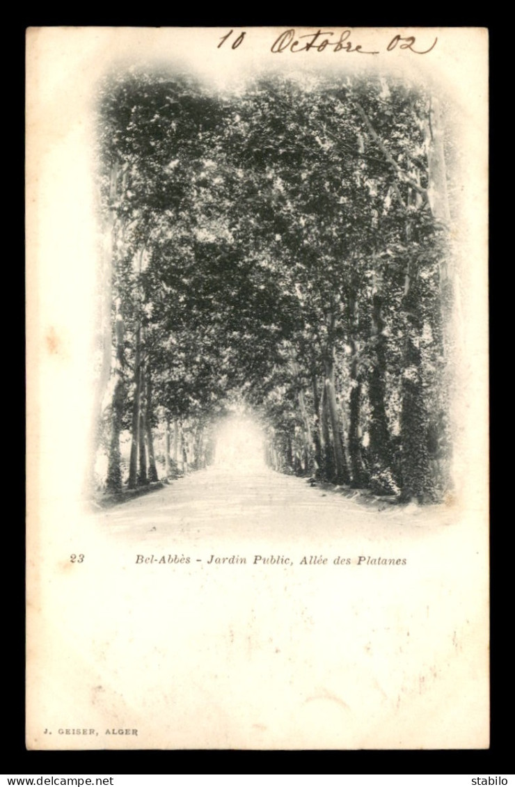 ALGERIE - SIDI-BEL-ABBES - JARDIN PUBLIC - ALLEE DES PLATANES - EDITEUR GEISER - Sidi-bel-Abbès