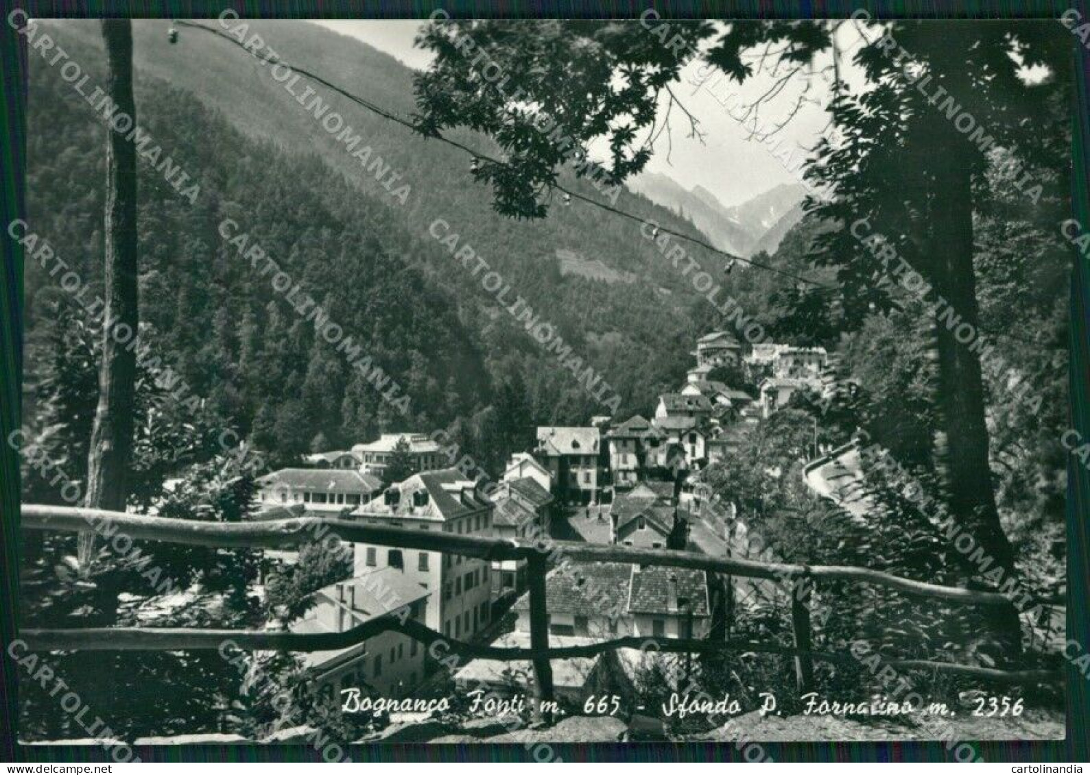 Verbania Bognanco Fonti Fornalino Foto FG Cartolina KB2636 - Verbania