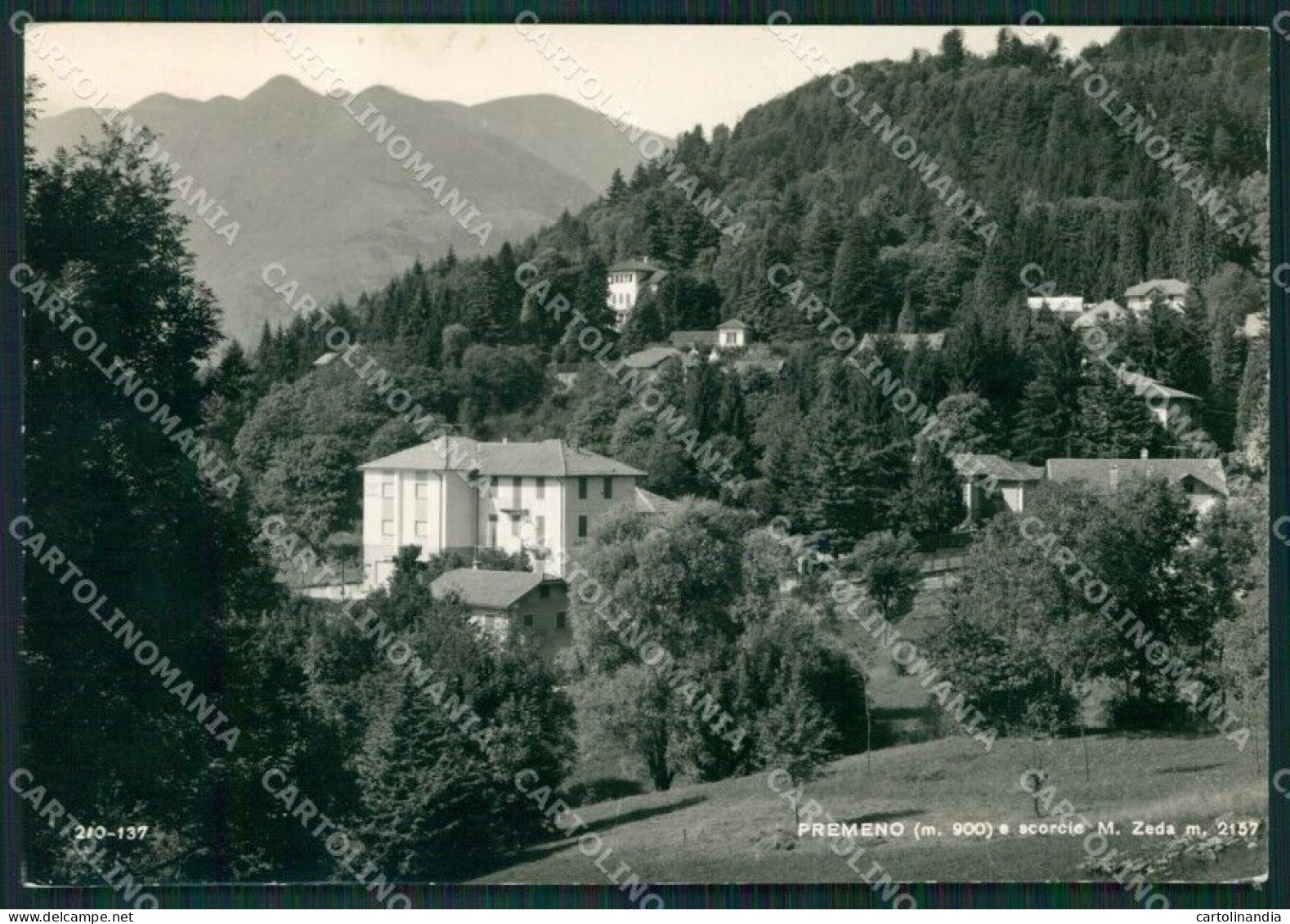 Verbania Premeno Monte Zeda PIEGHINA Foto FG Cartolina KB2638 - Verbania