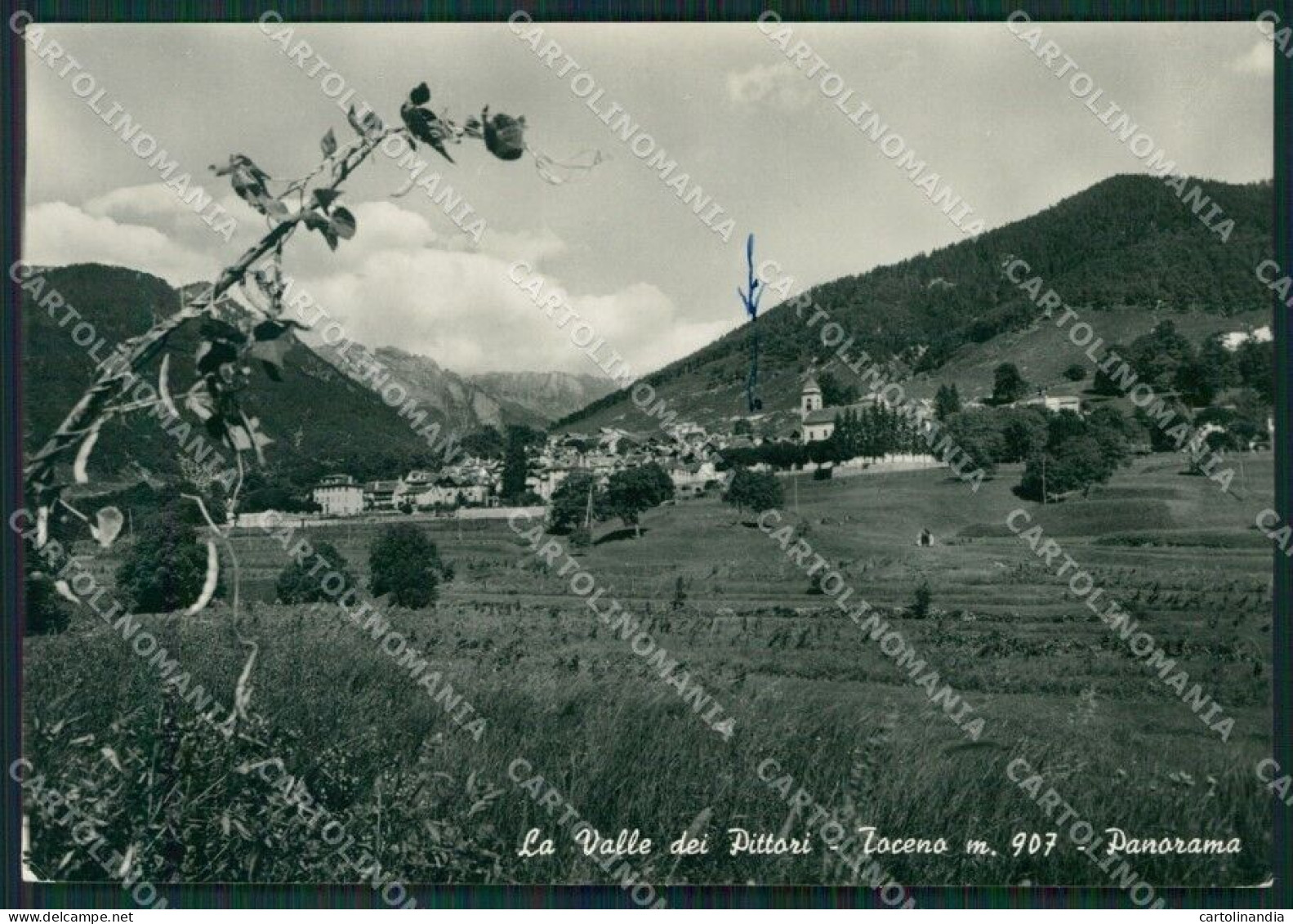 Lecco Taceno Valle Dei Pittori Foto FG Cartolina KB2643 - Lecco