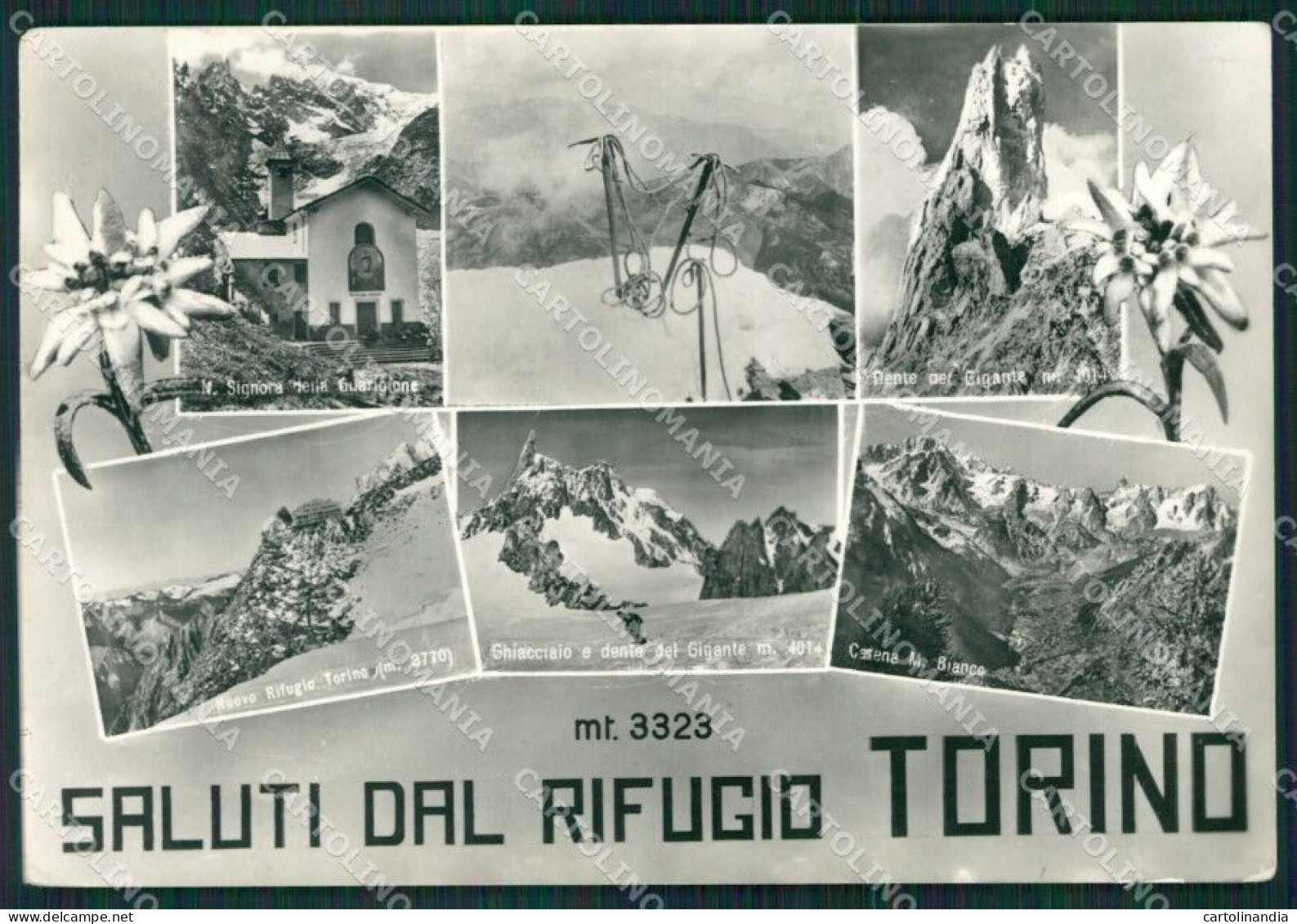 Aosta Courmayeur Rifugio Saluti Da Stella Alpina Cai Foto FG Cartolina KB2754 - Aosta