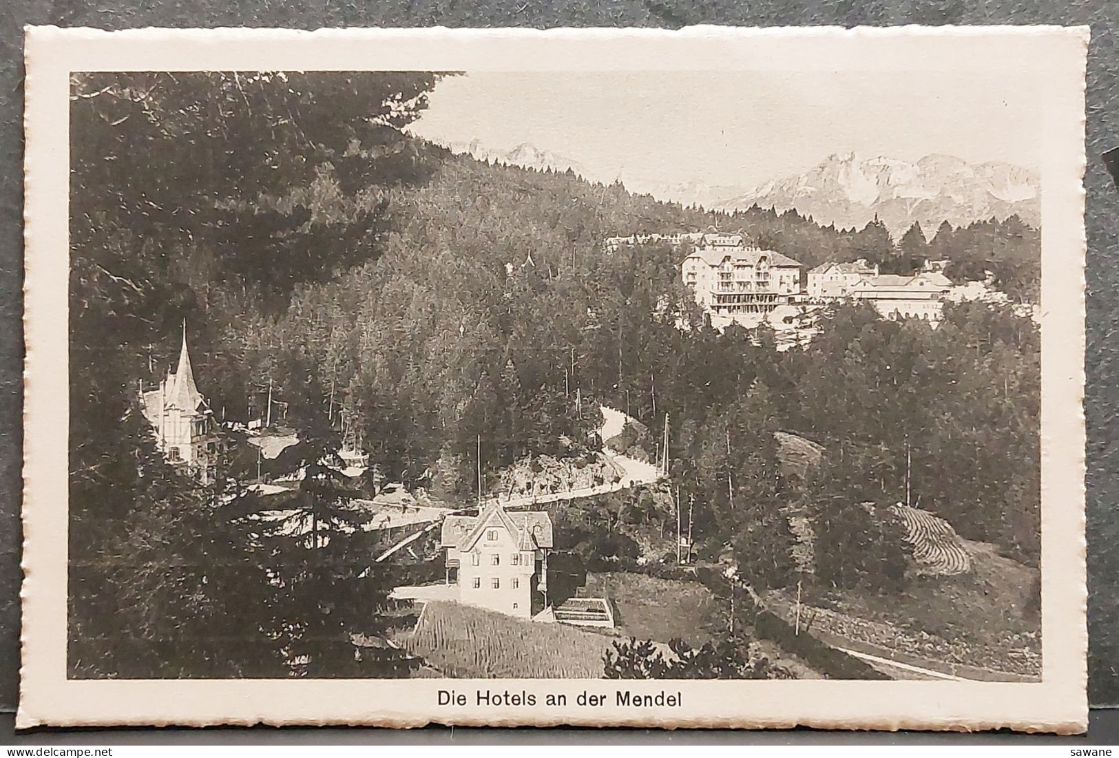 ITALIE , DIE HOTELS AN DER MENDEL , LOT 186 - Bolzano (Bozen)